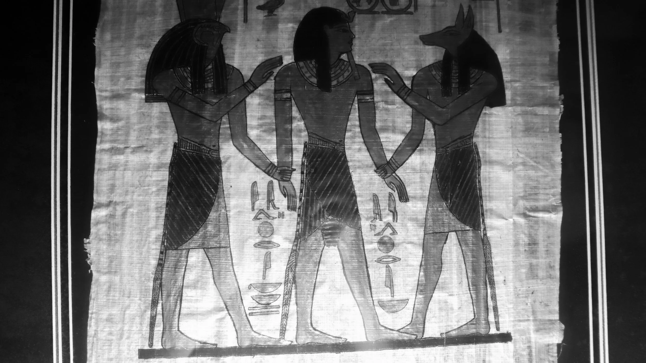 Search and Search Again (2025)