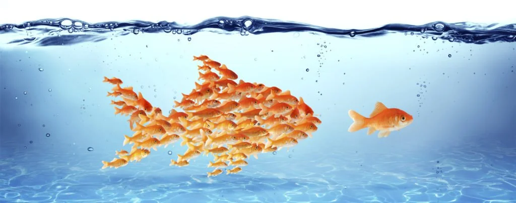 4 rules for B2B thought leadership success