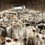 Don’t jump on the buzzword bandwagon