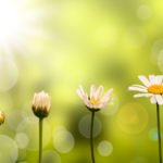 The benefits of an annual PR budget