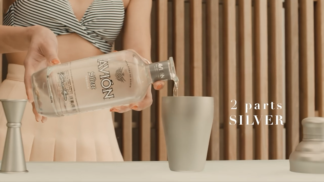 AVION SCREENSHOT 3.png