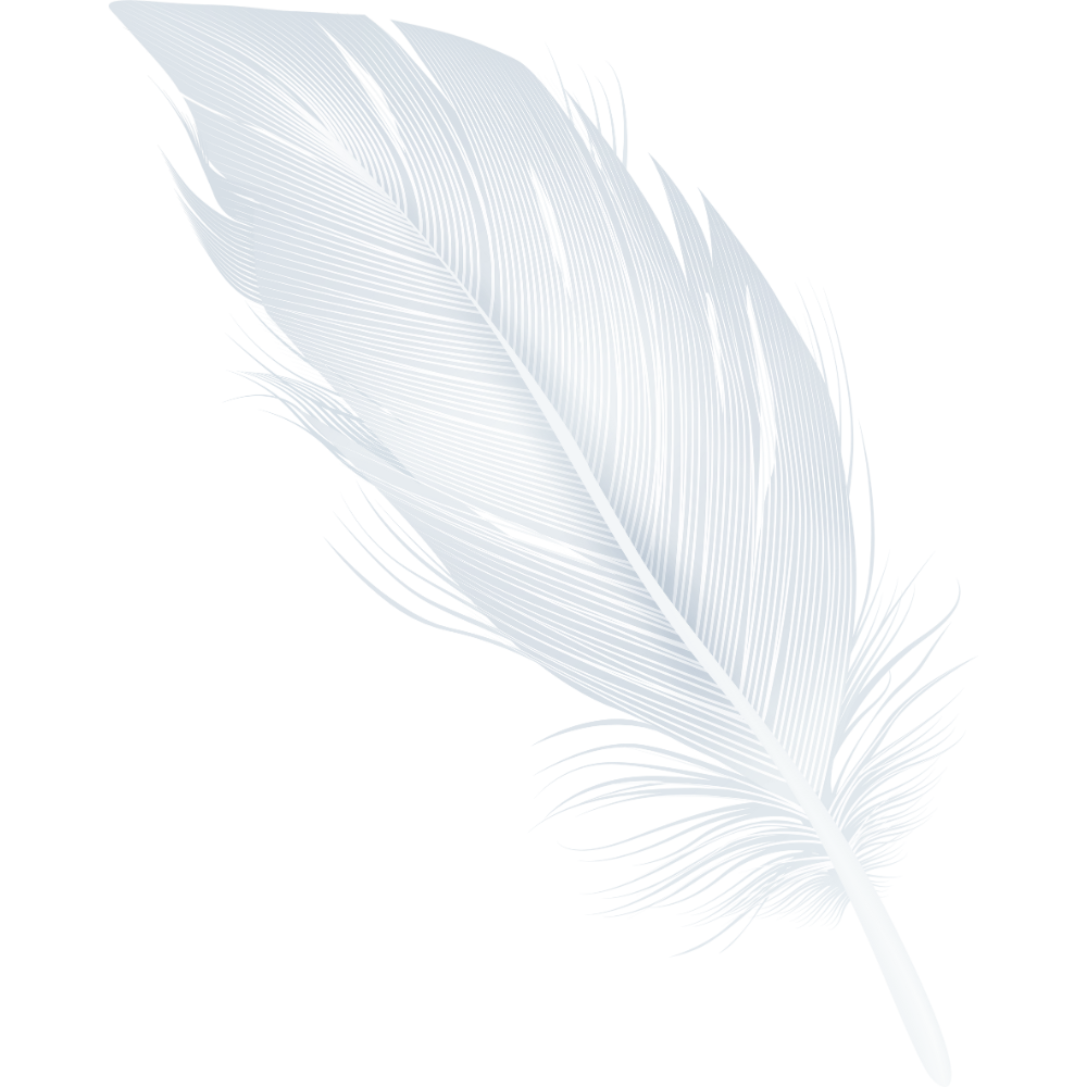 A white feather with detailed barbs, set against a gradient background transitioning from black to light gray.