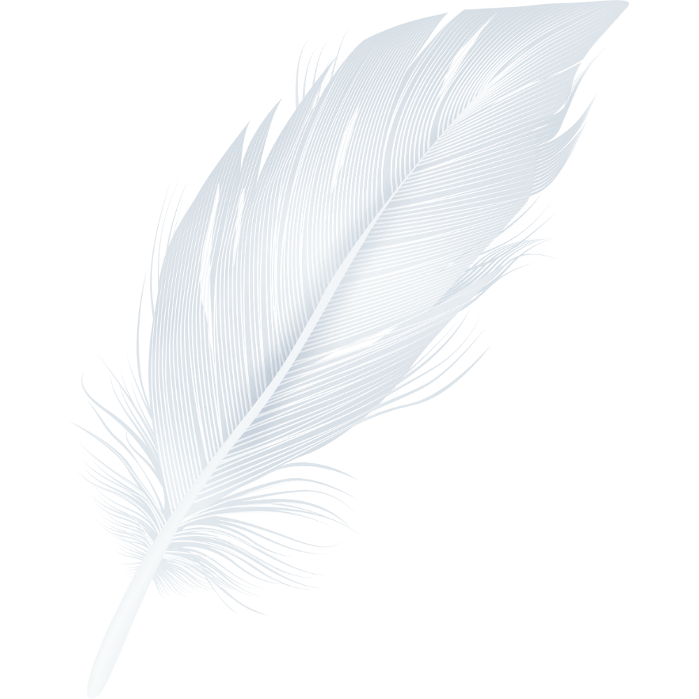 A white feather with intricate detailing against a black background.