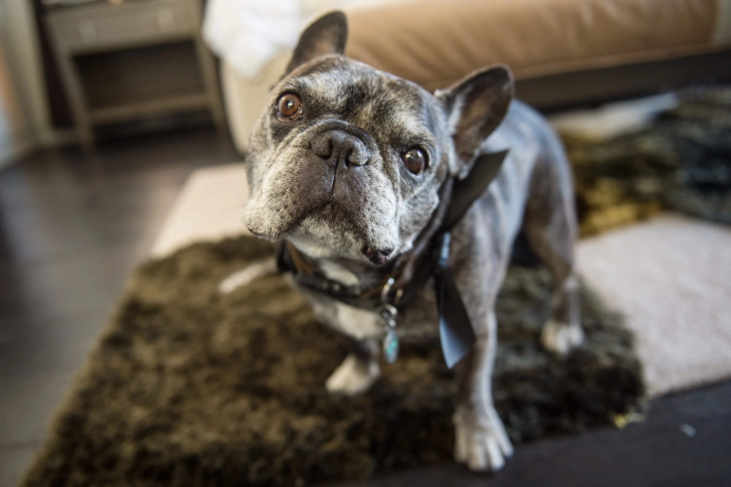 T&A (166 of 690).jpg