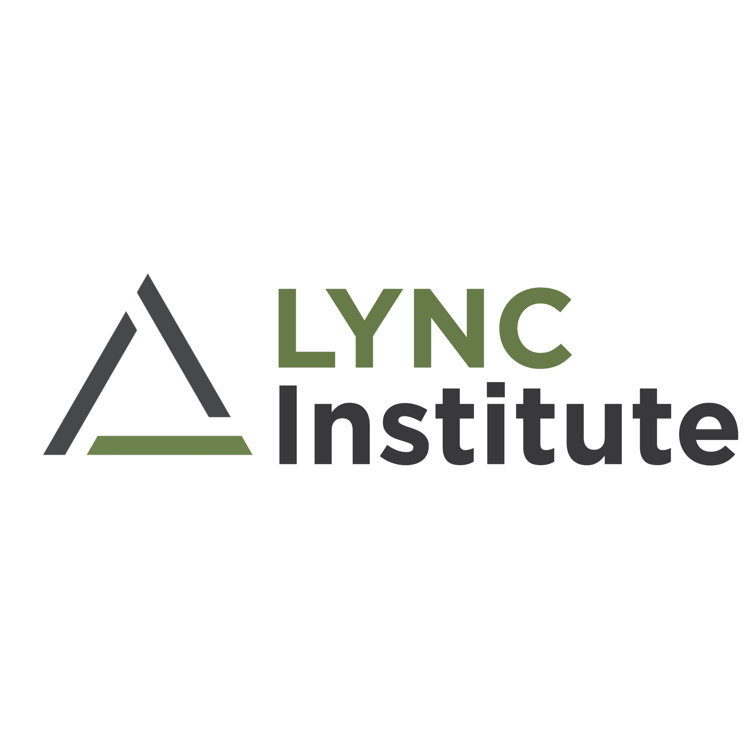 Logo of the LYNC Institute with a stylized mountain graphic and text in black and green.