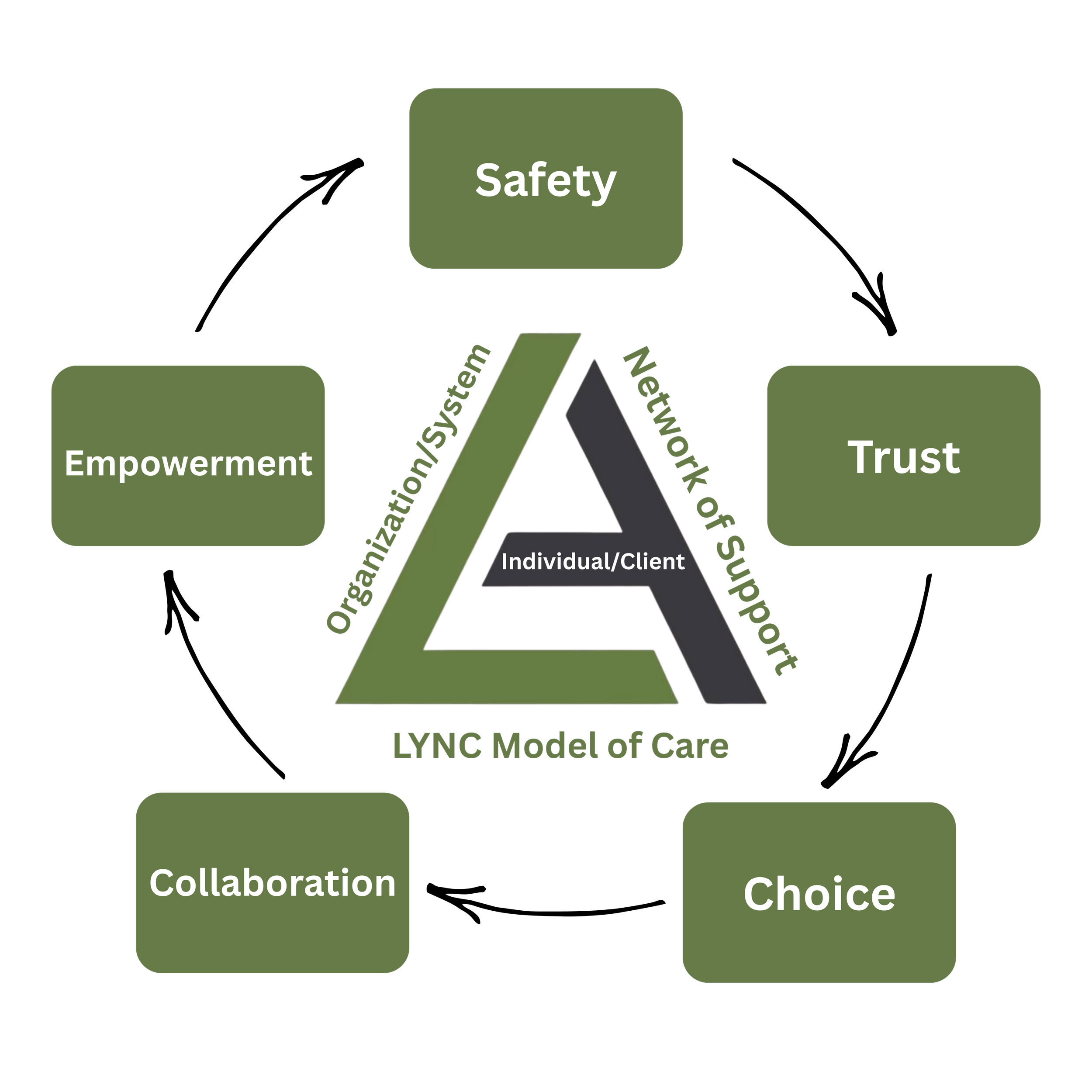Diagram illustrating the LYNC Model of Care with key components: Safety, Trust, Choice, Collaboration, Empowerment, centered around the Individual/Client, with aspects of Organization/System and Network of Support.