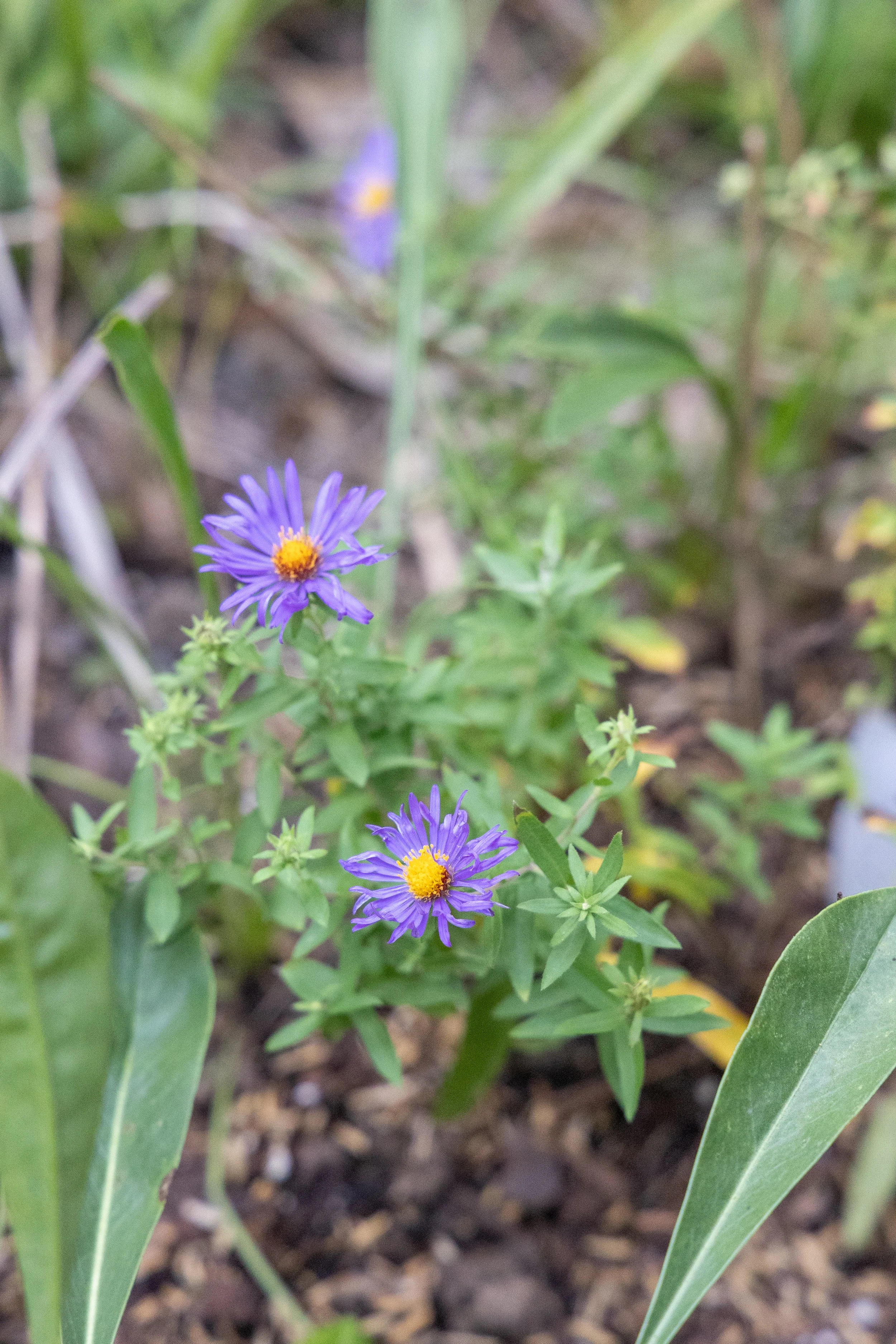 043A5970.jpg