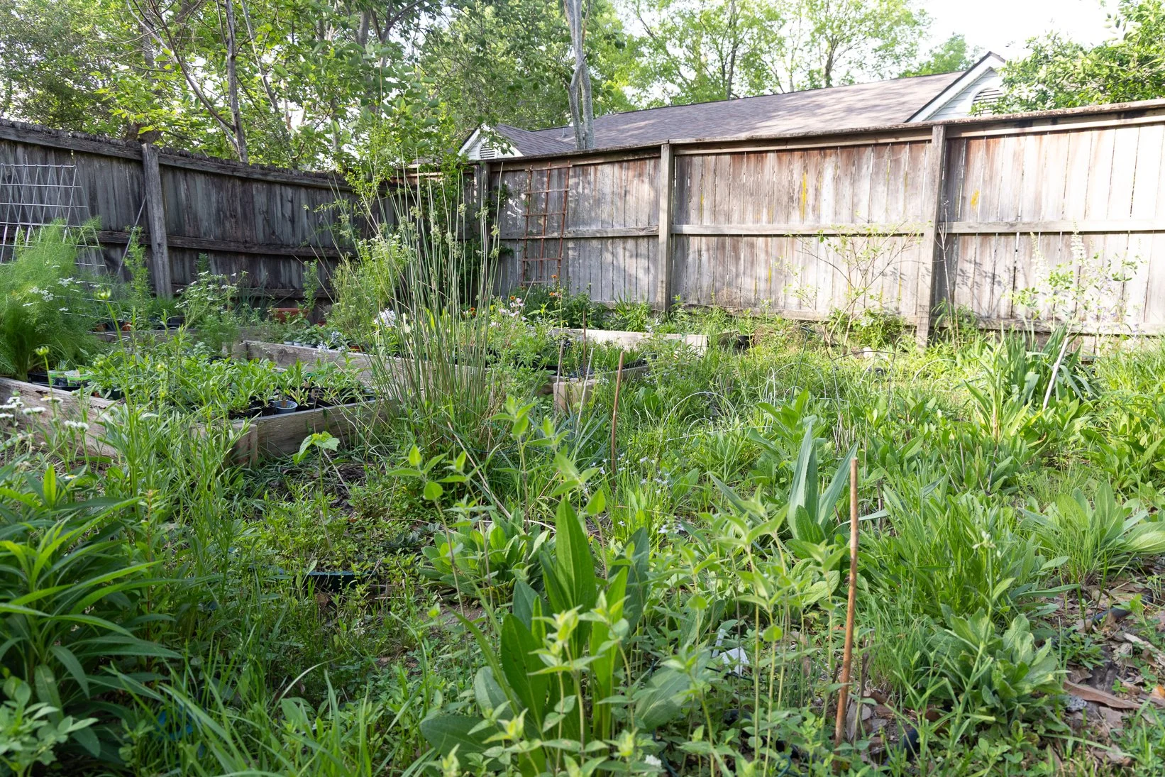 043A3540.jpg