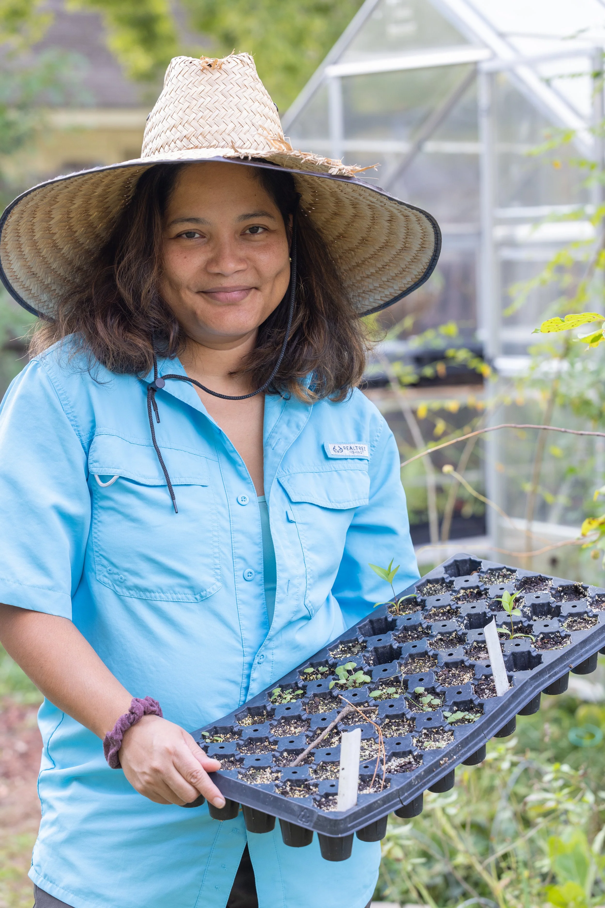 A woman wearing a large straw hat and a light blue shirt holding a seedling tray with small plants inside a greenhouse.