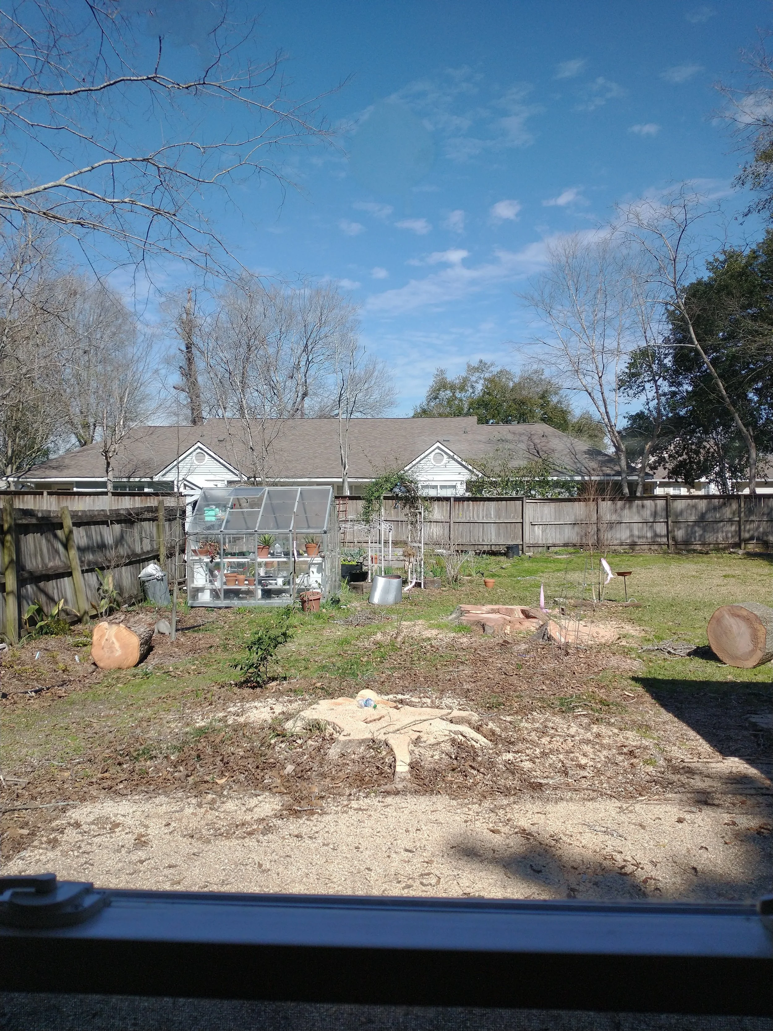 IMG_20240219_124027628(1).jpg