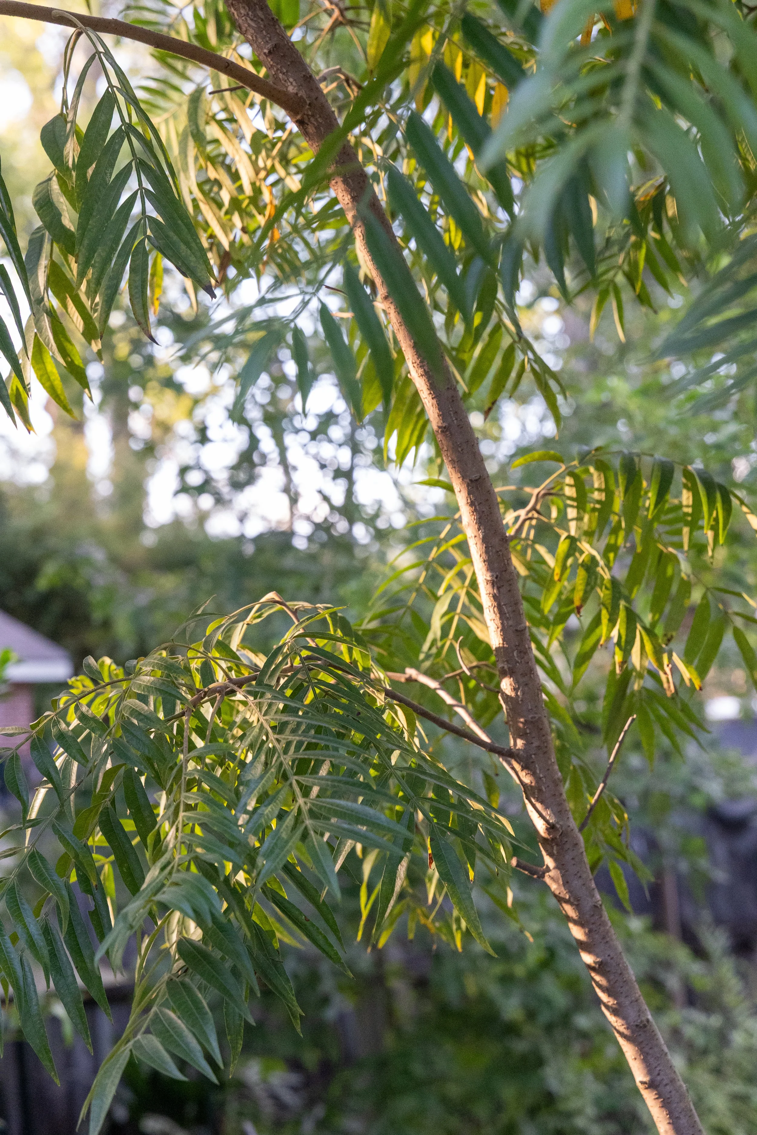 043A6120.jpg