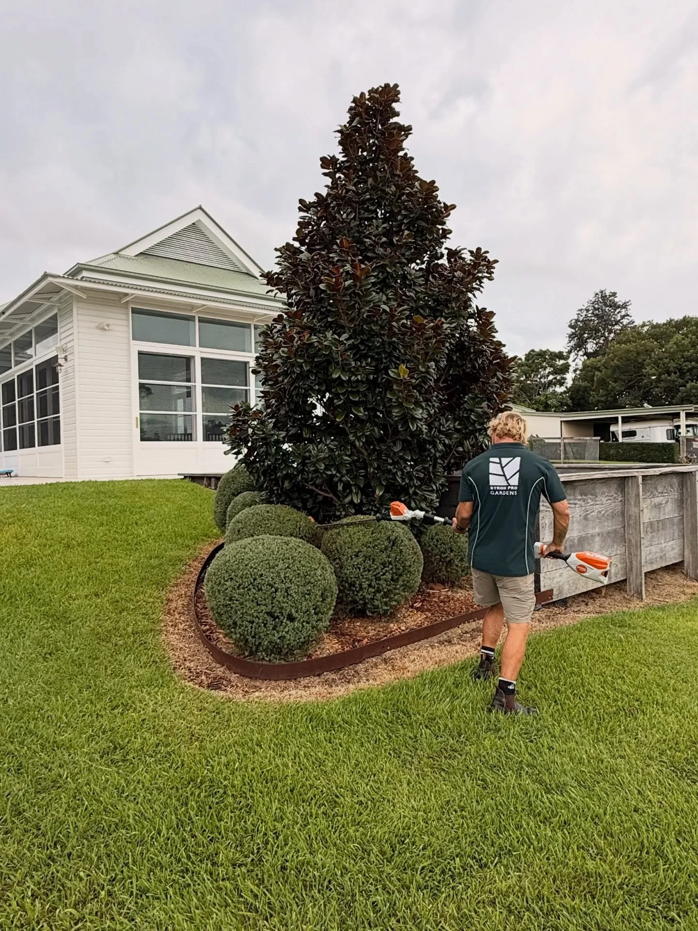 Clean, sharp and professionally maintained. 🌿 
This is what your garden should look like all year round.

Regular maintenance, precise shaping and attention to every detail.

If you want your place looking like this, send us a message.