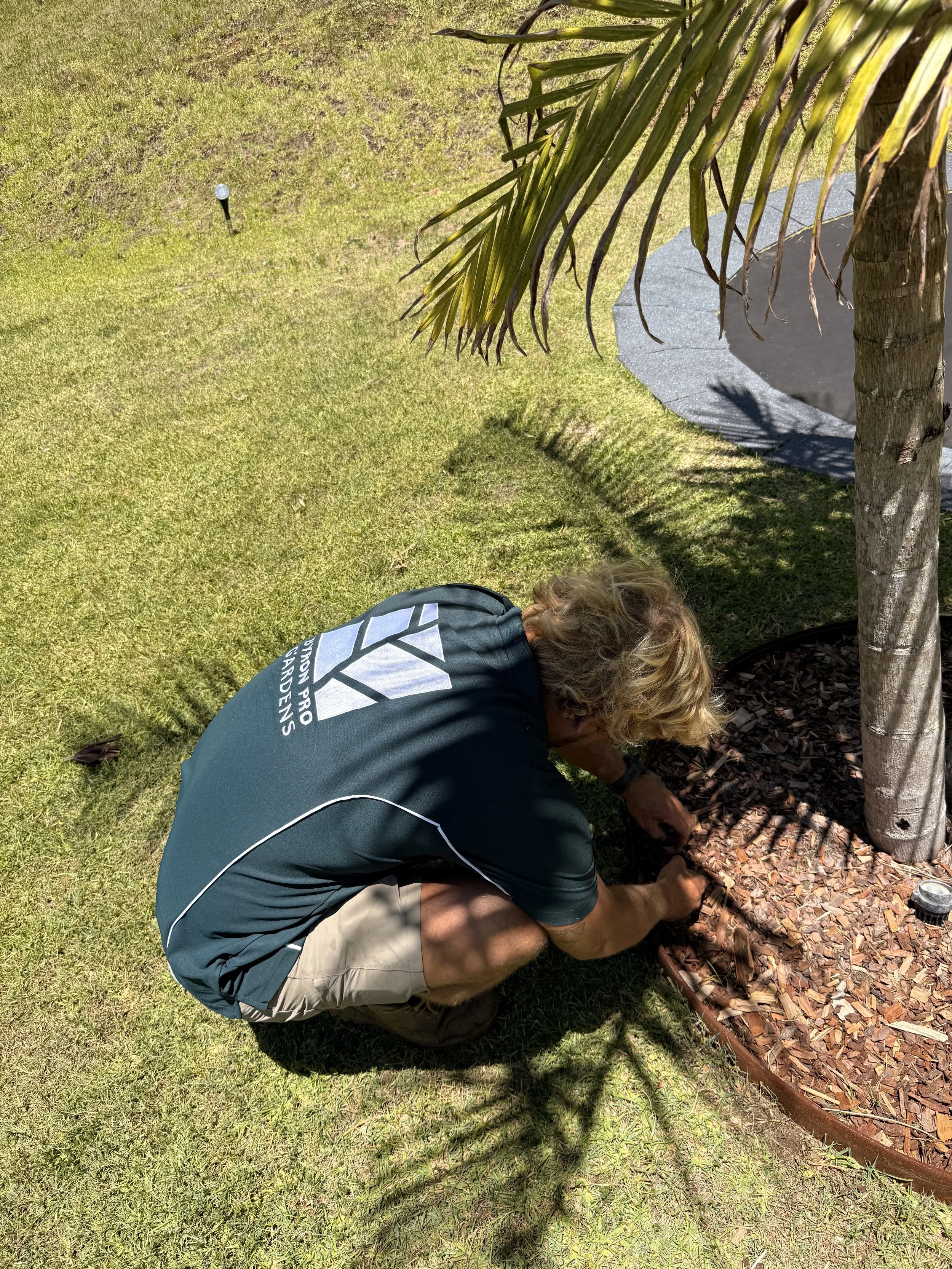 Weeding and planting