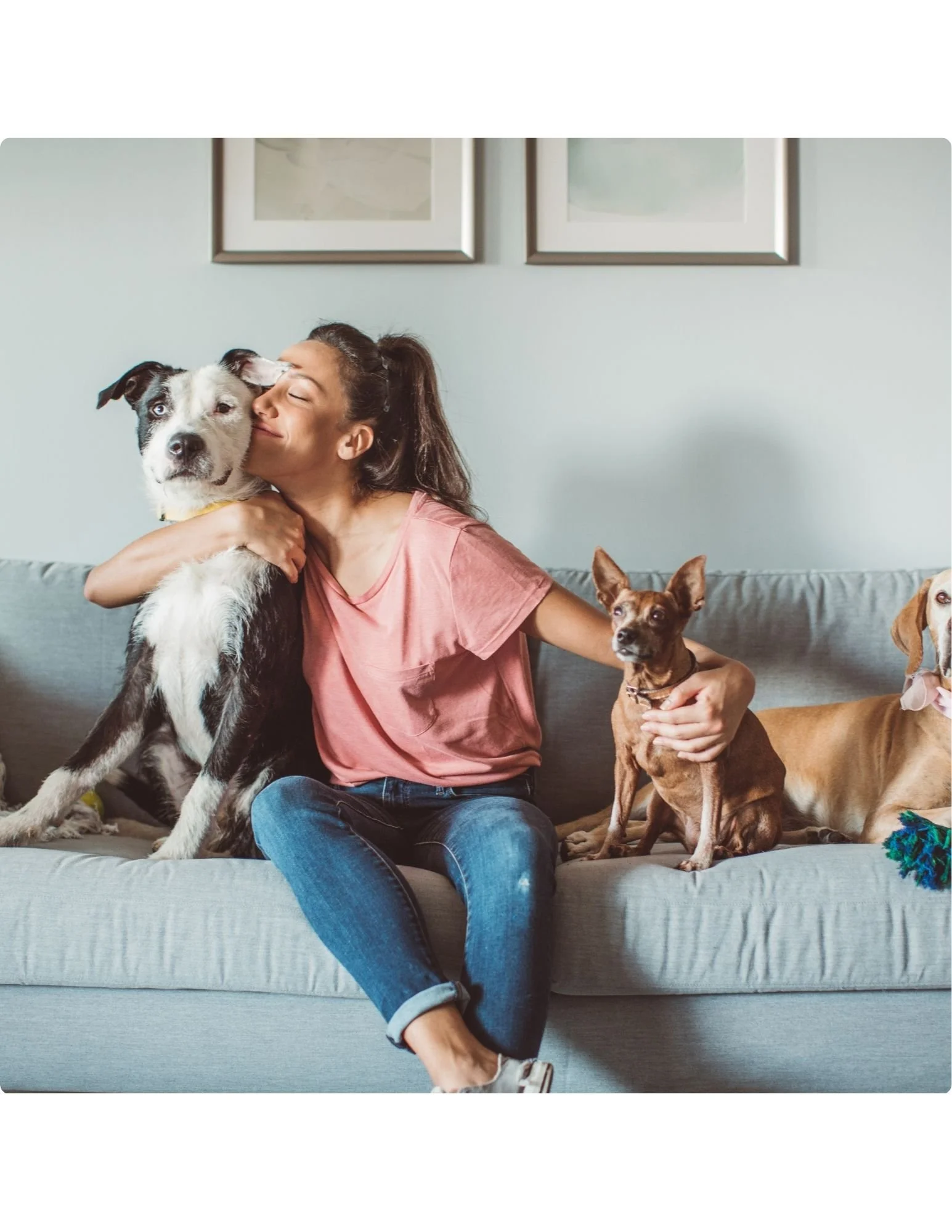 Counselling Services