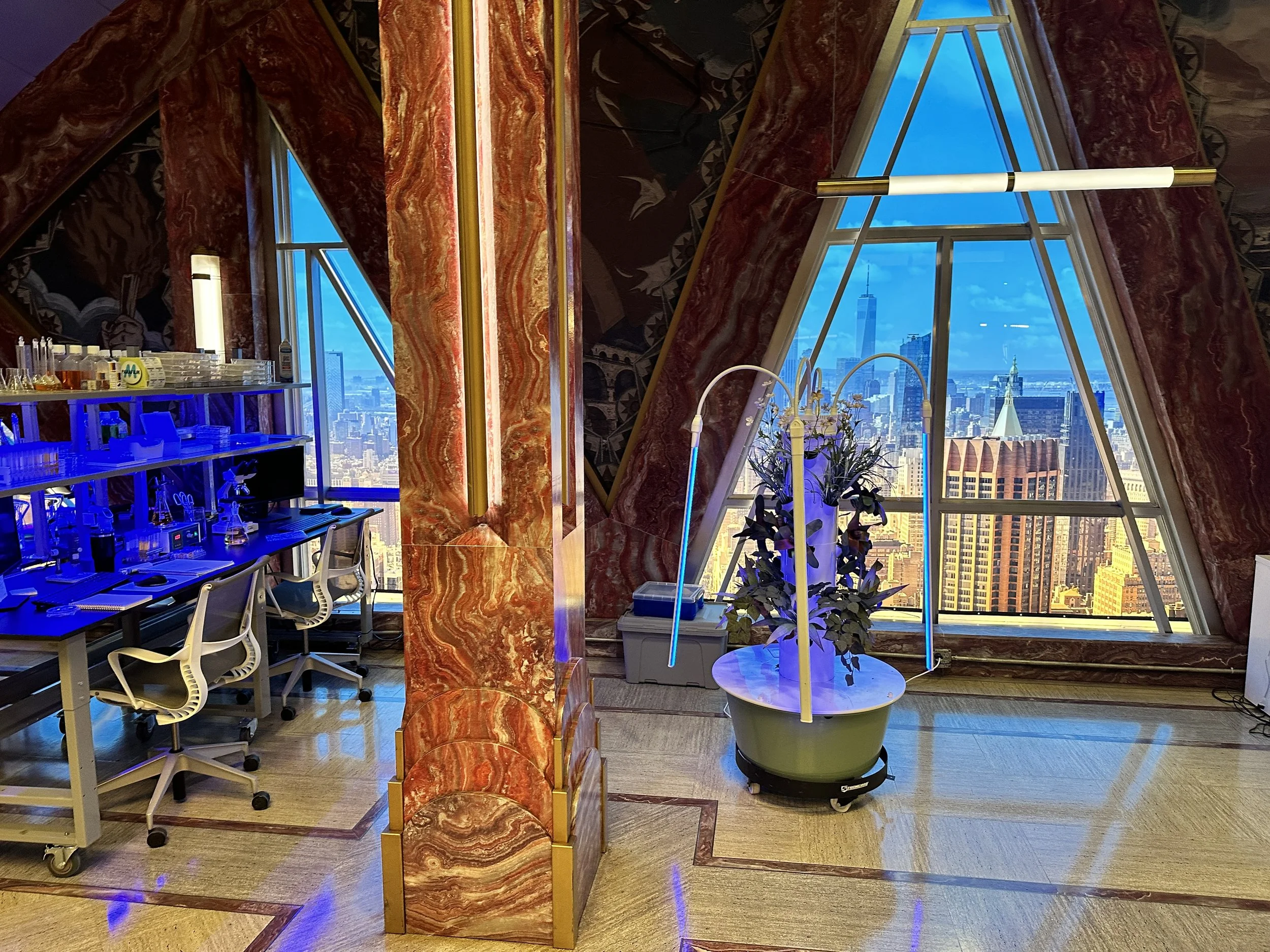 Copy of IMG_4834.JPEG