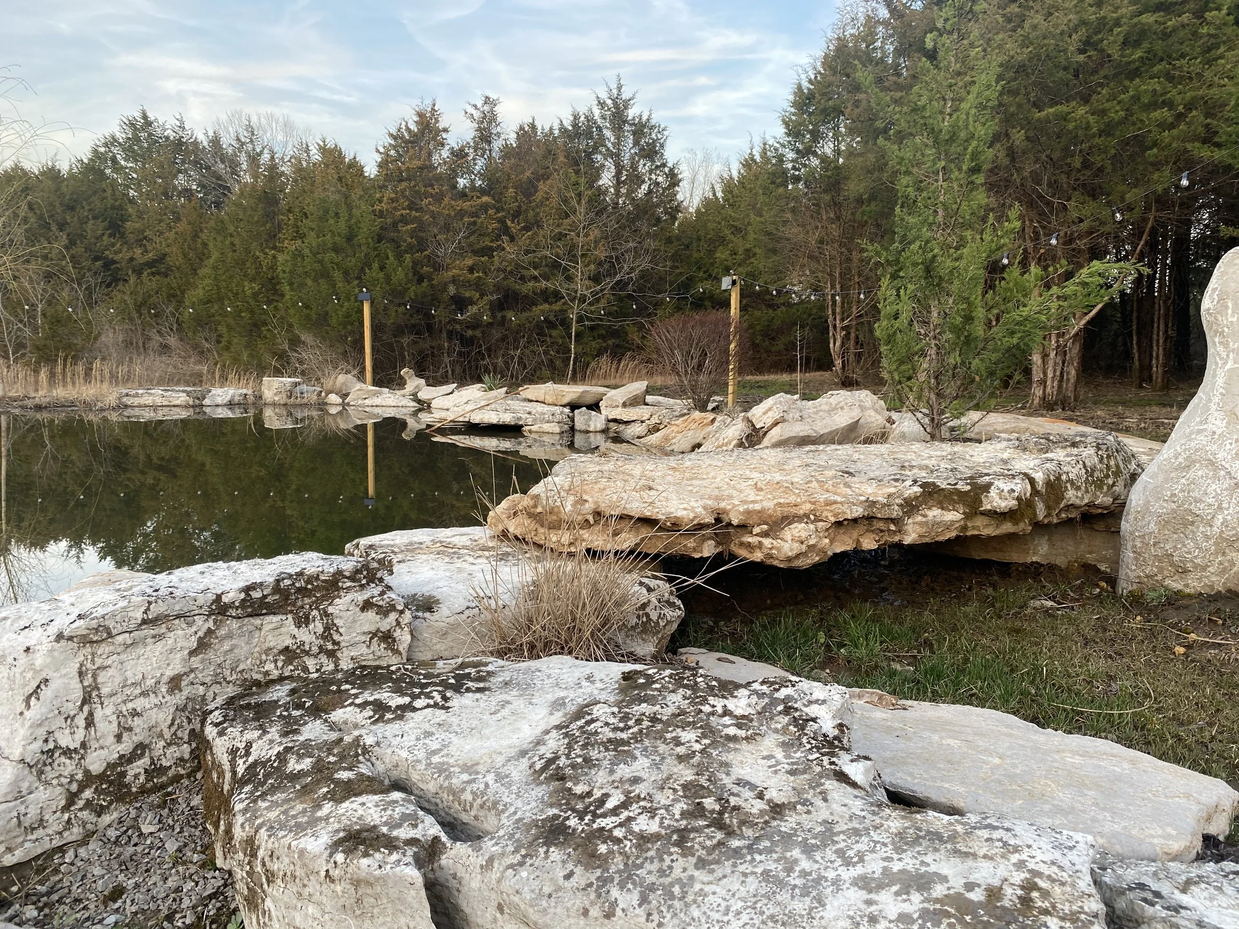 A natural landscape with large rocks and a small pond with reflective water, surrounded by trees and a string of outdoor lights.