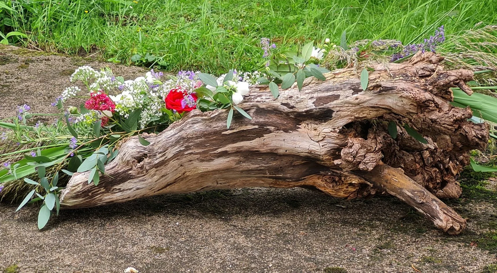 Een stuk verweerd hout met bloemen en groene bladeren gelegd op de grond, met gras en groen omringend op de achtergrond.