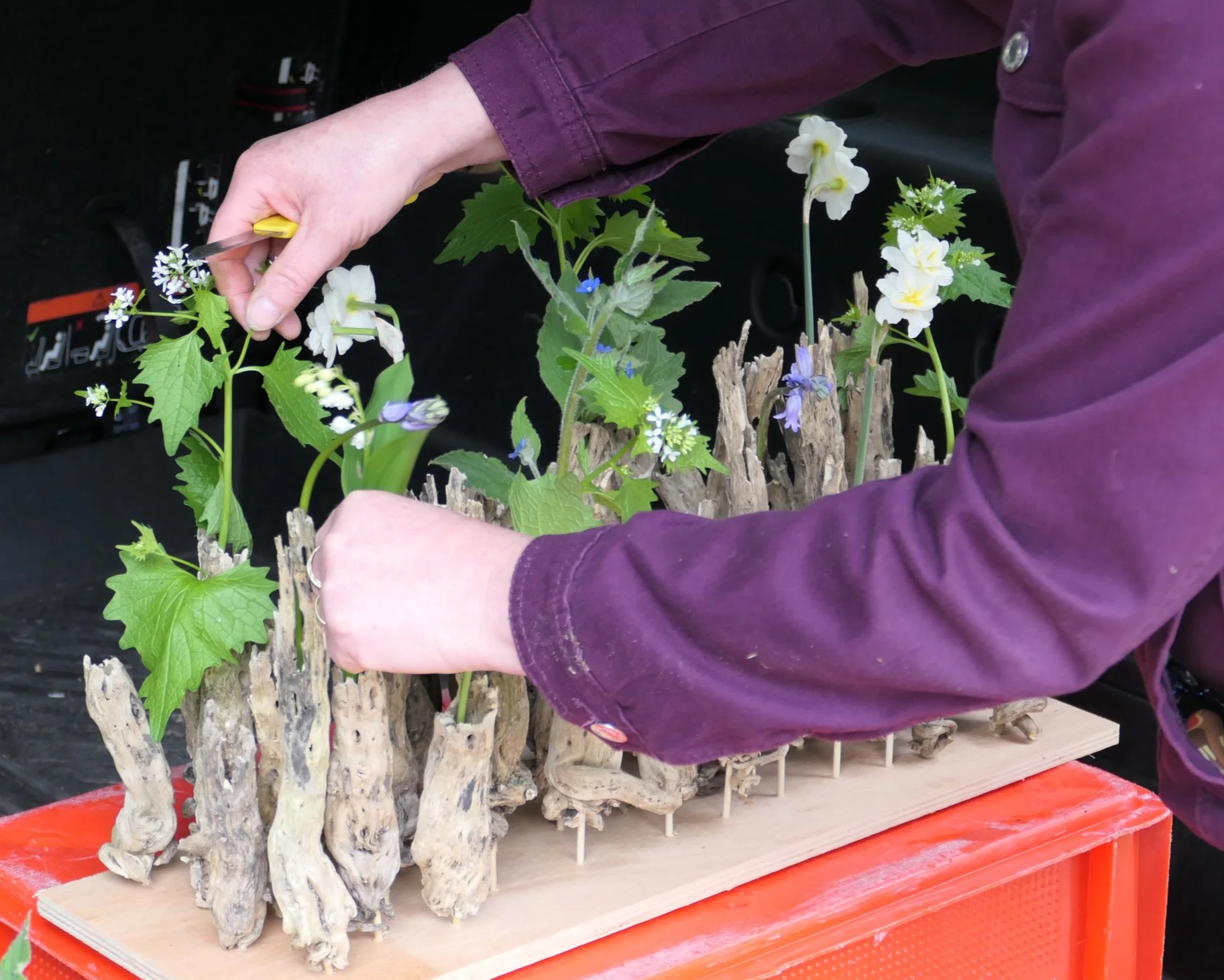 Persoon die planten en bloemen plant of verzorgt, gebruikmakend van een snijschaar, met een stuk hout en een houten structuur met wortels als decor.