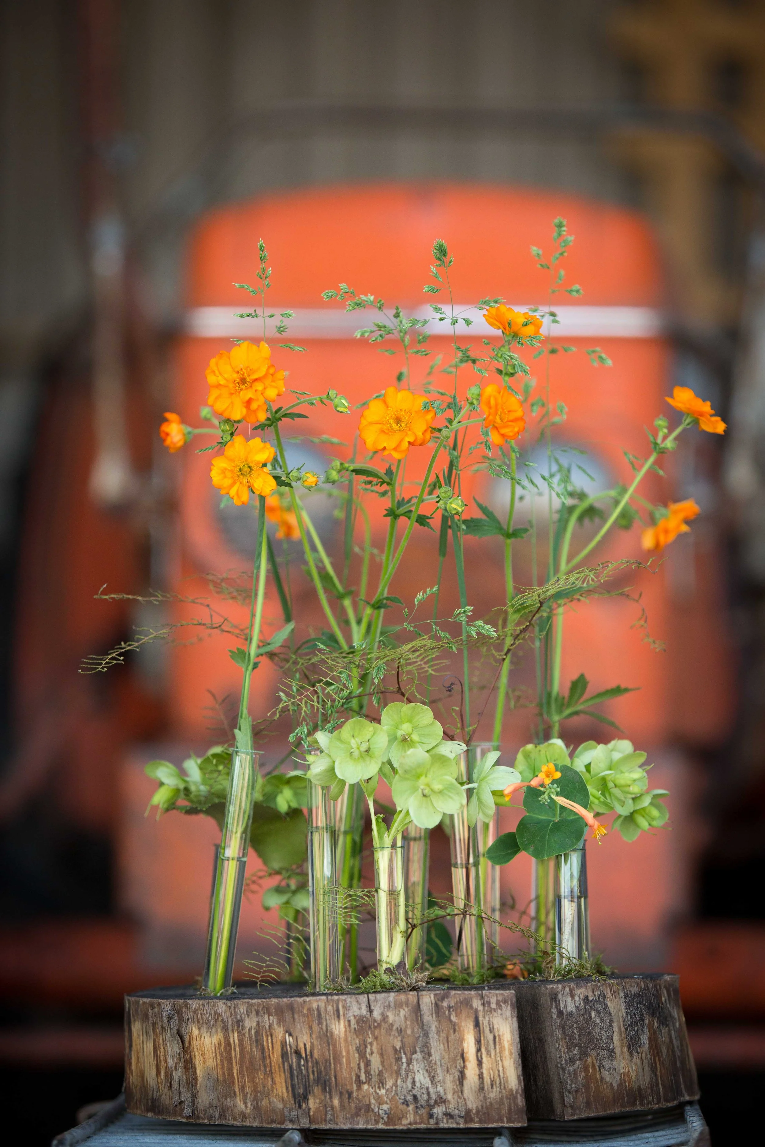 Verschillende kleurrijke bloemen in kleine glazen buisjes, geplaatst op een houten ondergrond, met een achtergrond van een houten en stenen muur.