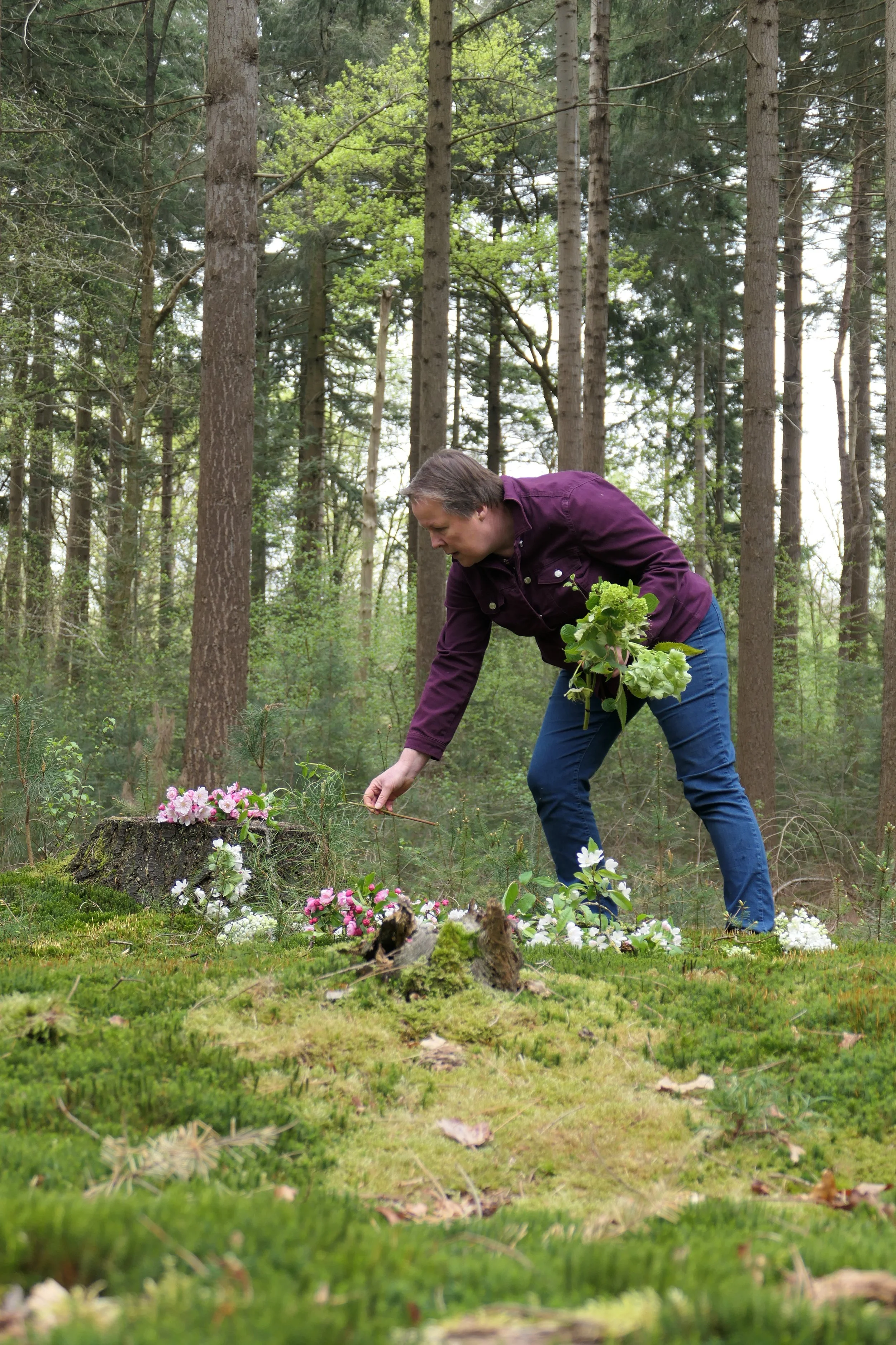 Man die bloemen plaatst op een boomstronk in een bos met groene bomen en gras.