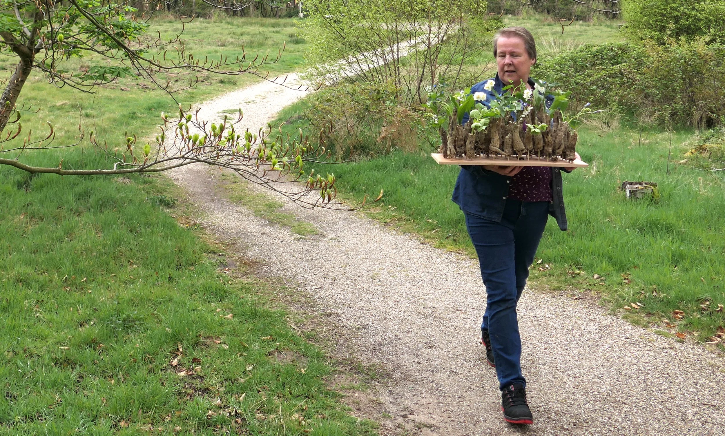 Vrouw loopt een smalle zandweg op een groene, natuurlijke omgeving, terwijl ze een grote plank vasthoudt met daarop cluster van plantknollen met bloemen.