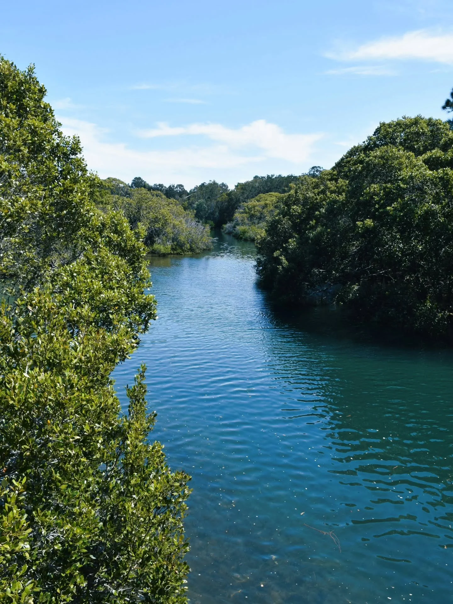 The Waikato landscape - and in particular the Waikato river - were big drivers for the inspiration behind our branding. Earthy, natural tones that provide a sense of calm, in what is often a turbulent time. 

If you haven't already head over to our w