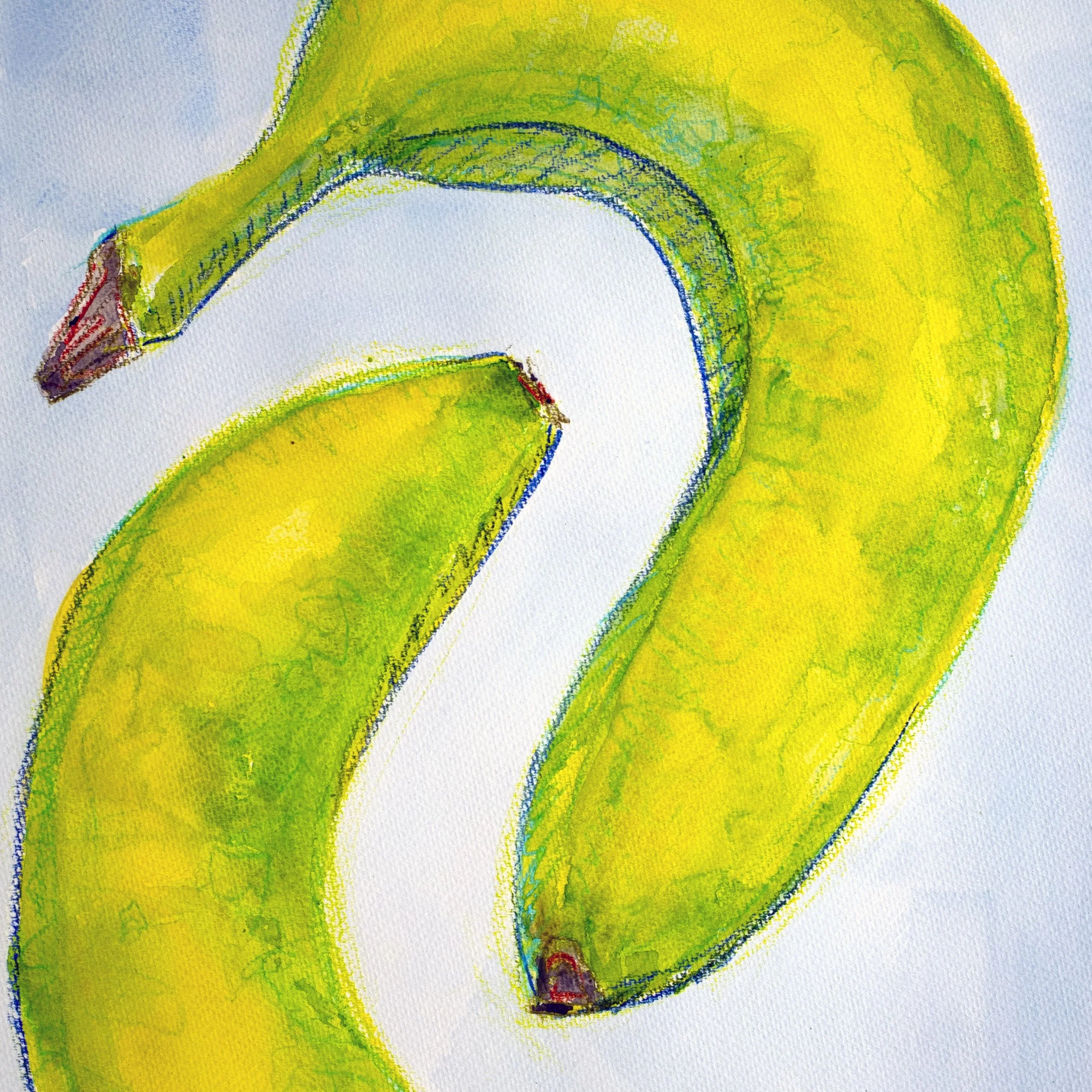 Gay Banana - Square.jpg