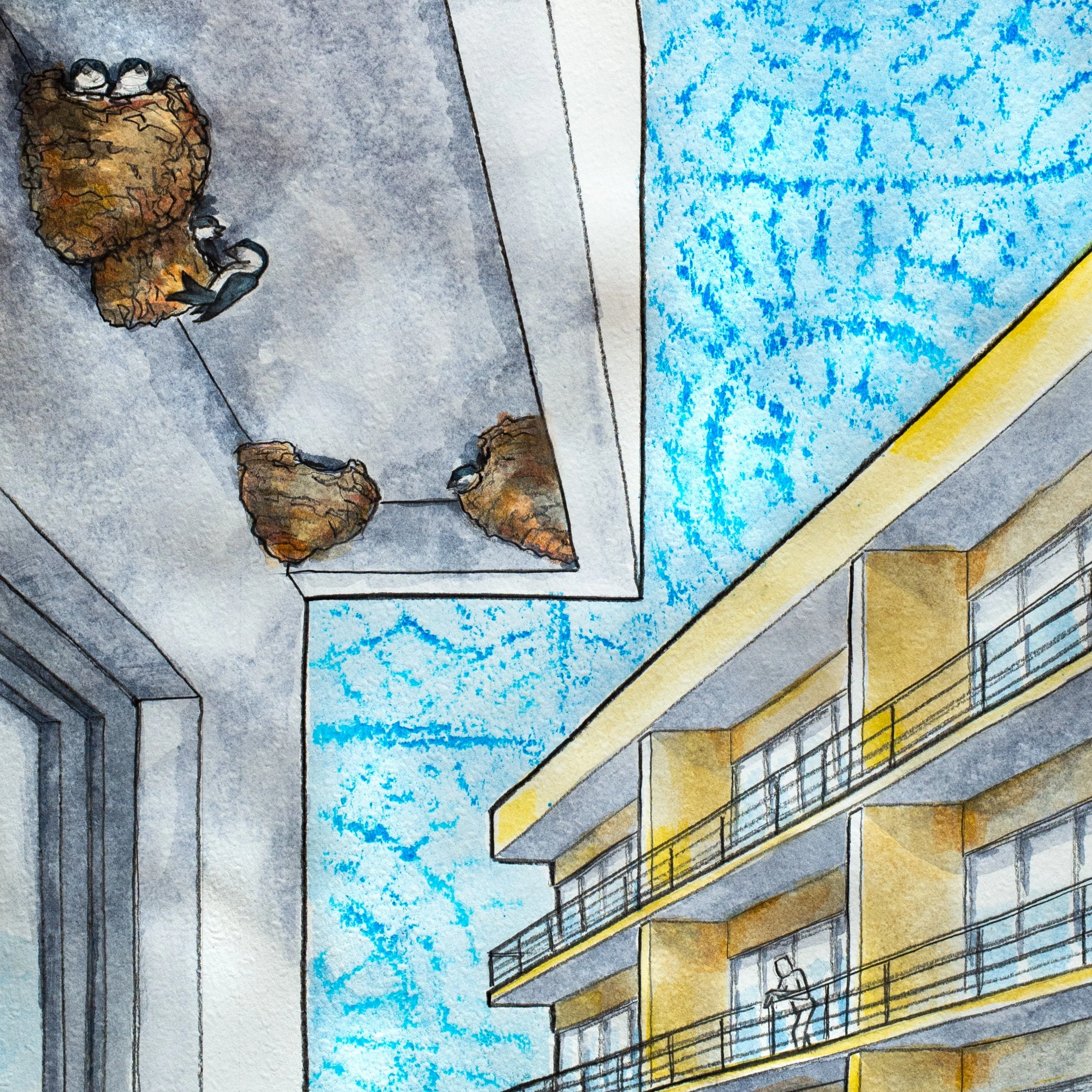 Apartment Swallows 2 - Detail Square.jpg