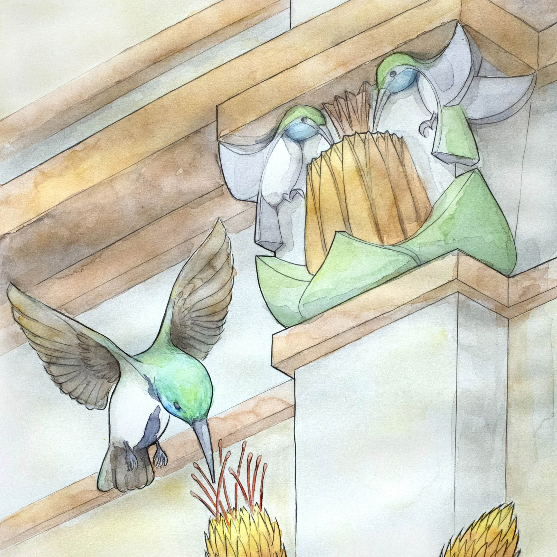 Chuquiraga Jussieui and Oreotrochilus Chimborazo - Square.jpg