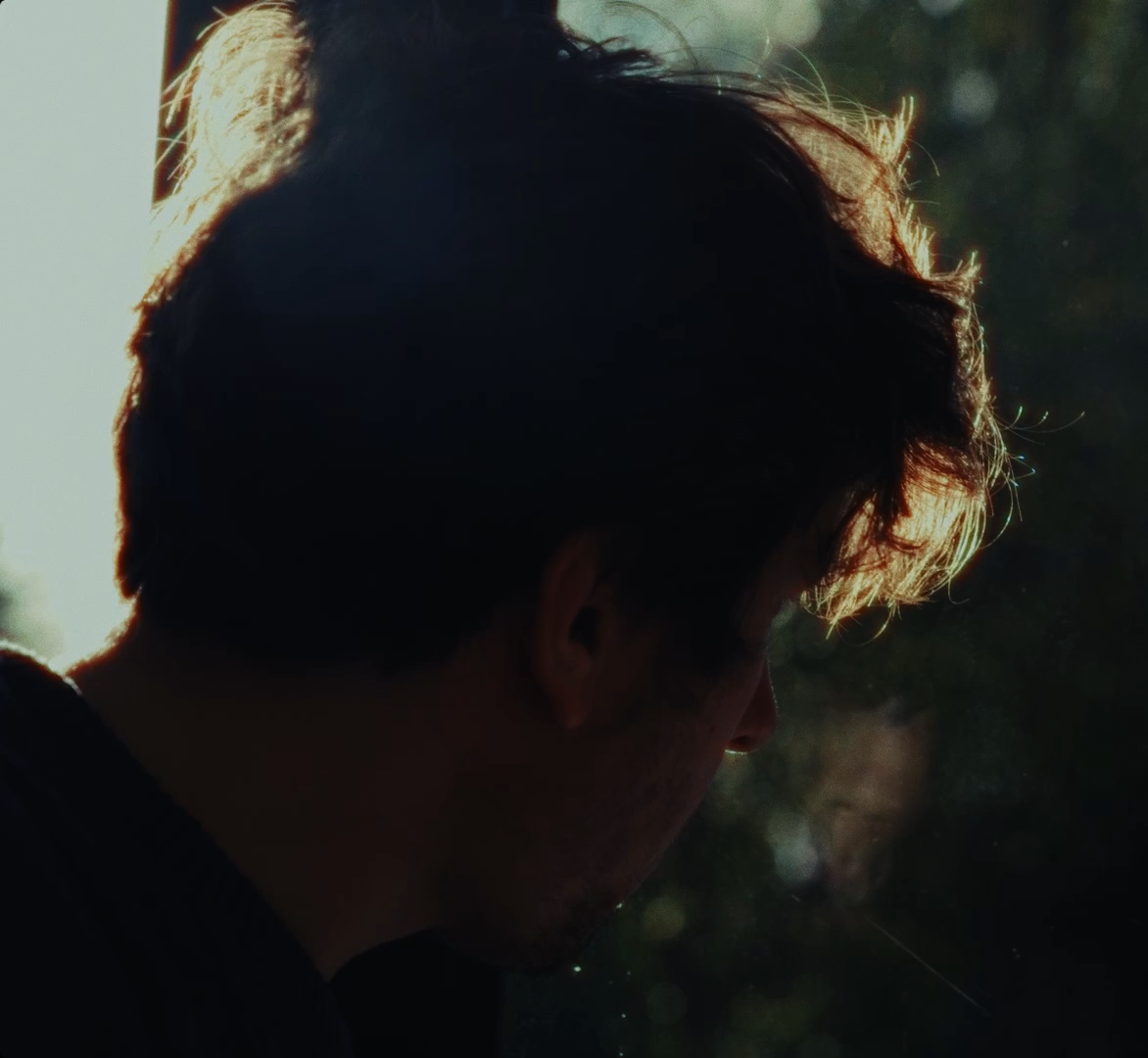 A person with dark, curly hair is facing sideways with sunlight illuminating the hair from behind, outdoors in a natural setting.