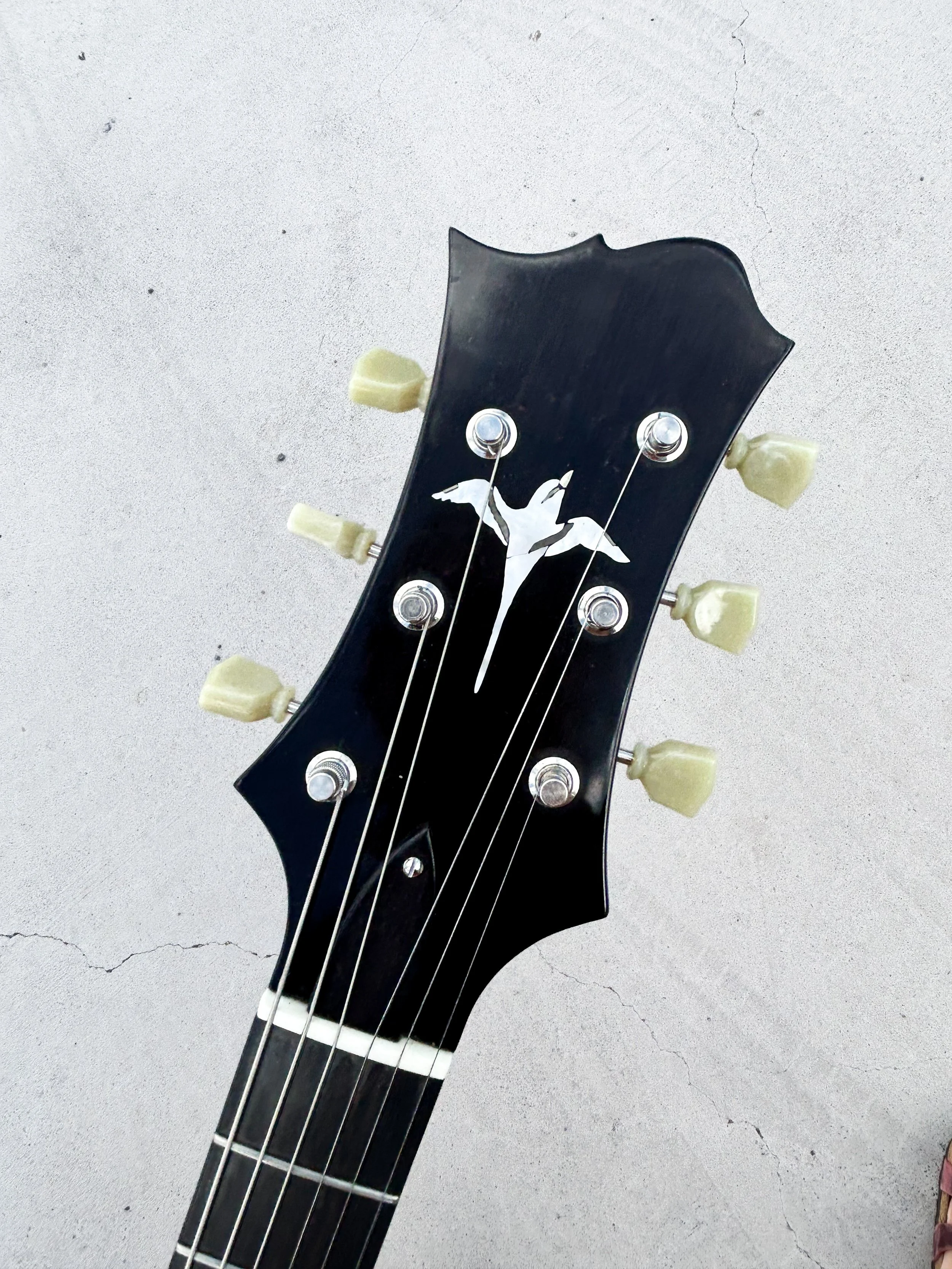 Semi-hollow 311 "Tropic bird"