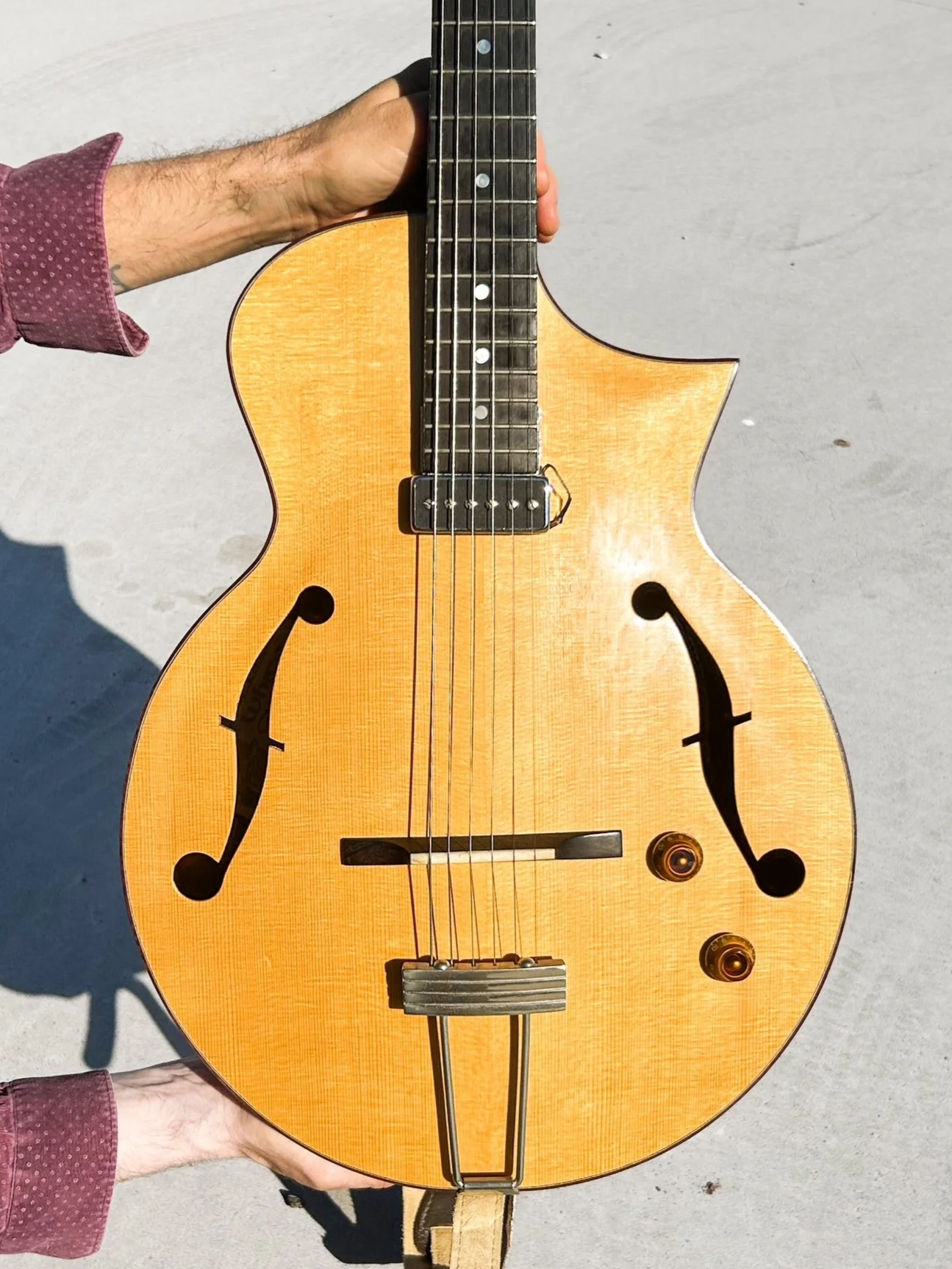 The Retrobird Archtop