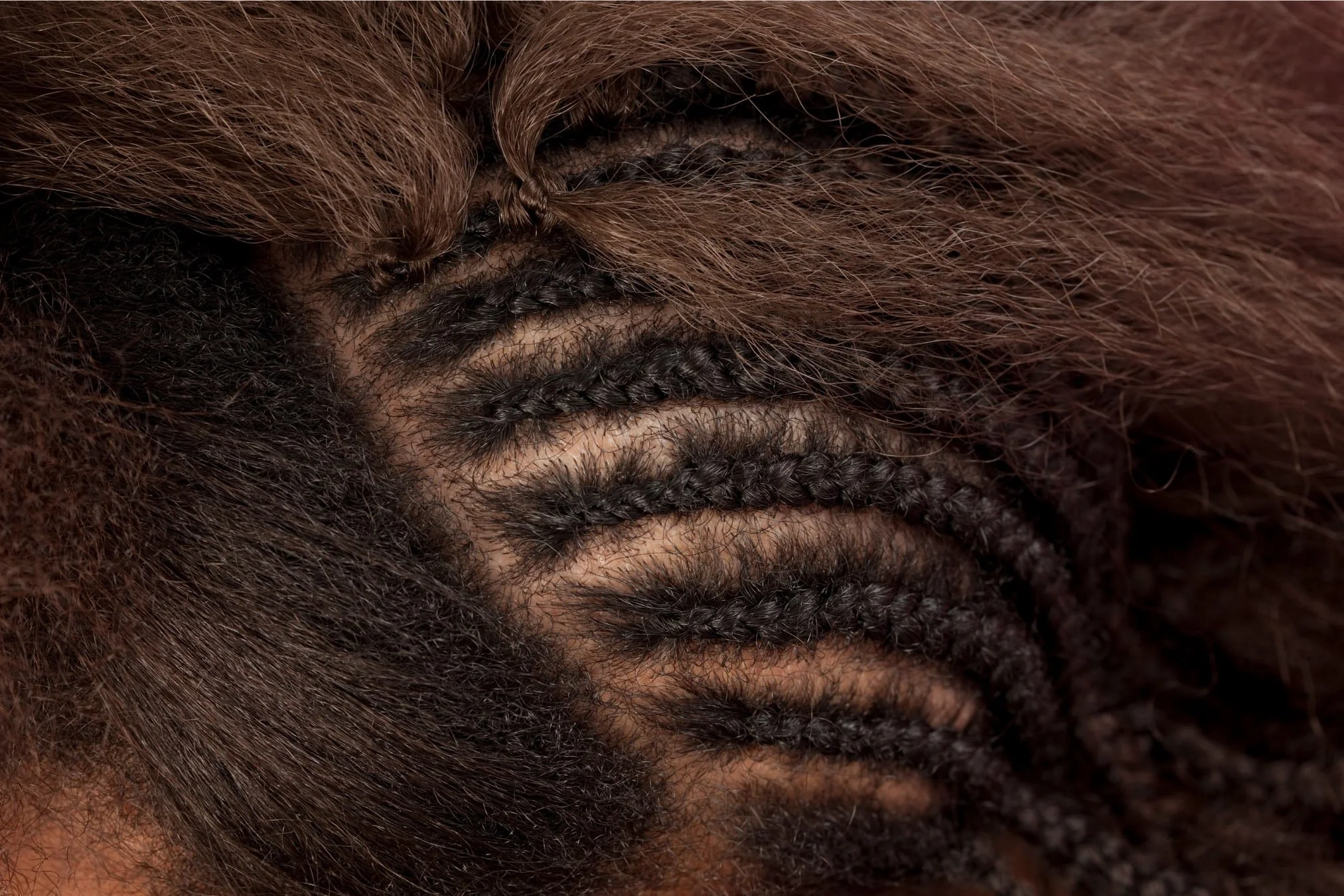 Close-up of cornrow braid base for crochet braid extensions at Willow's Cove Salon in Mineola, NY