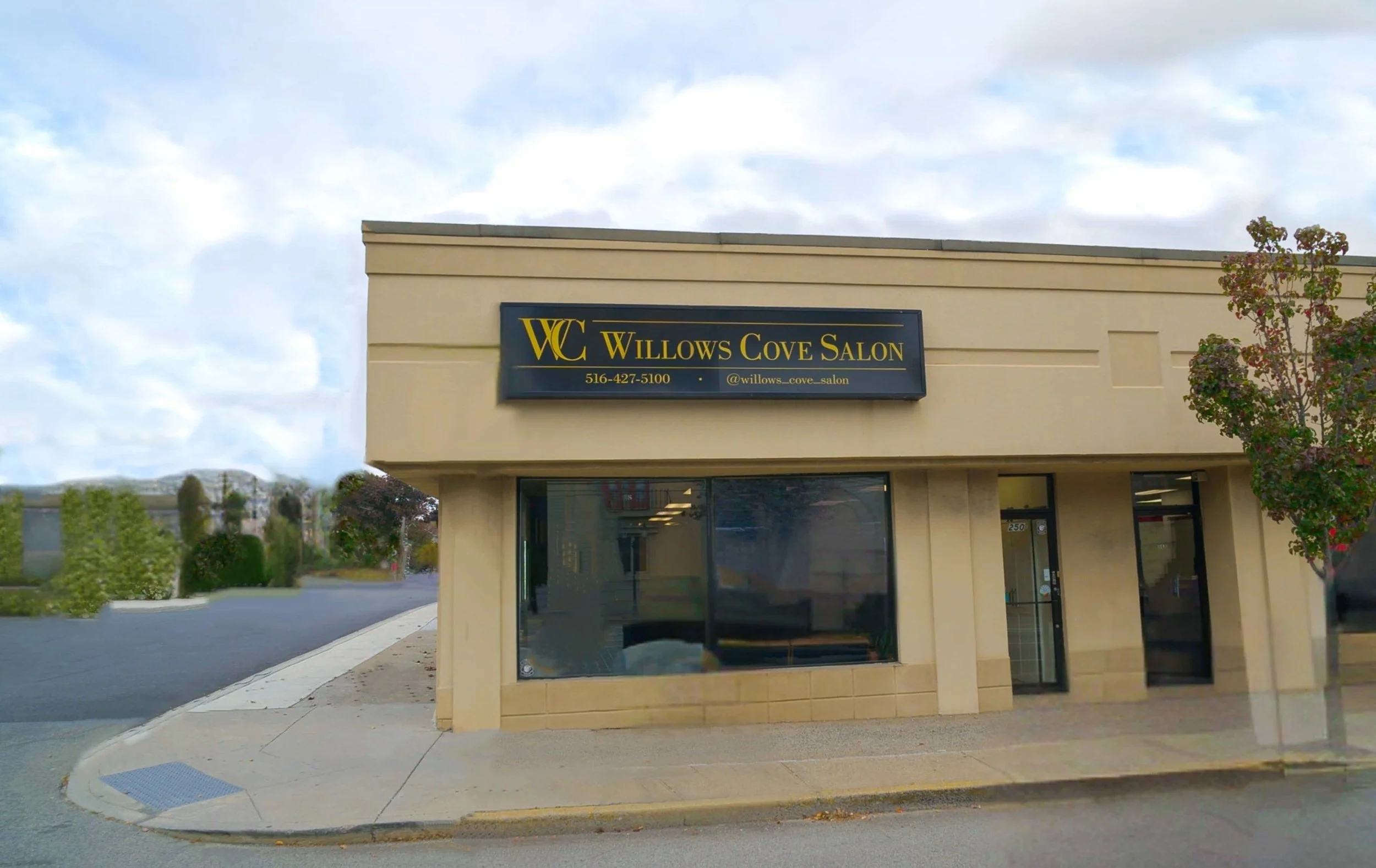 Exterior storefront of Willows Cove Salon on Jericho Turnpike in Mineola, NY with gold signage on a black sign