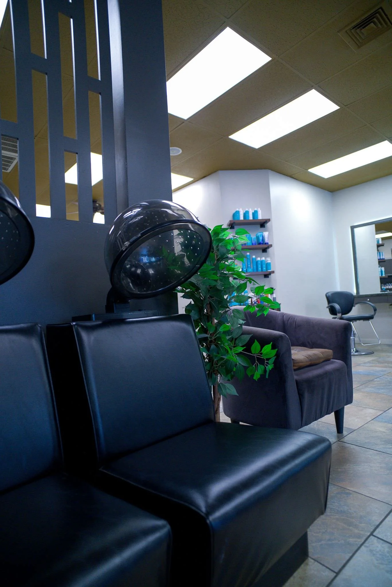 Willow's Cove Salon interior featuring black hood dryer chairs, a green plant, cozy seating area, and hair product shelves in Mineola, NY