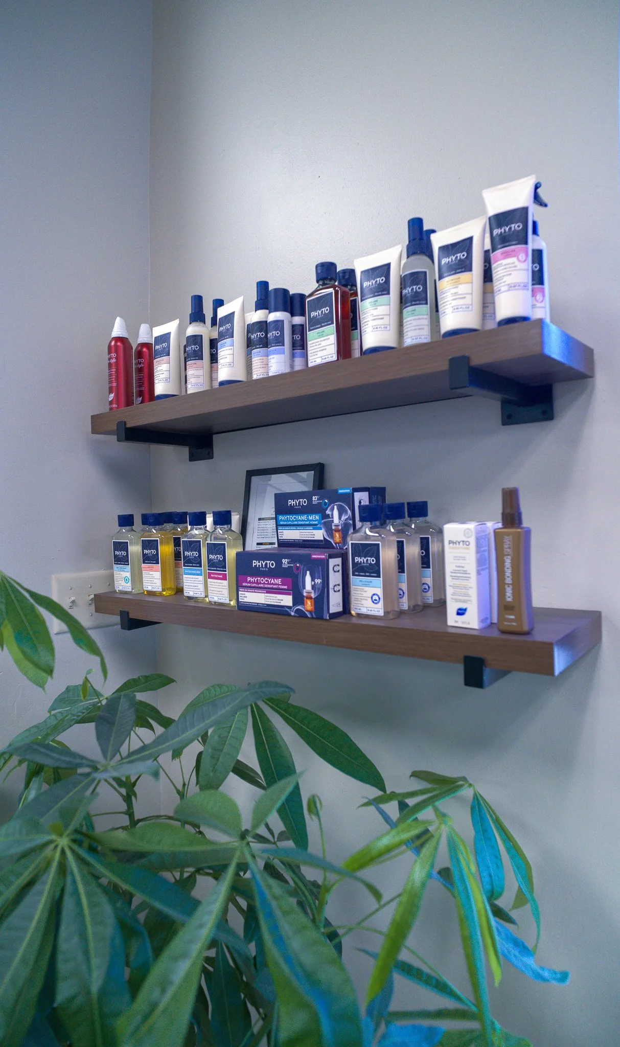 phyto-botanical-hair-care-products-luxury-salon-mineola-ny 2.jpg