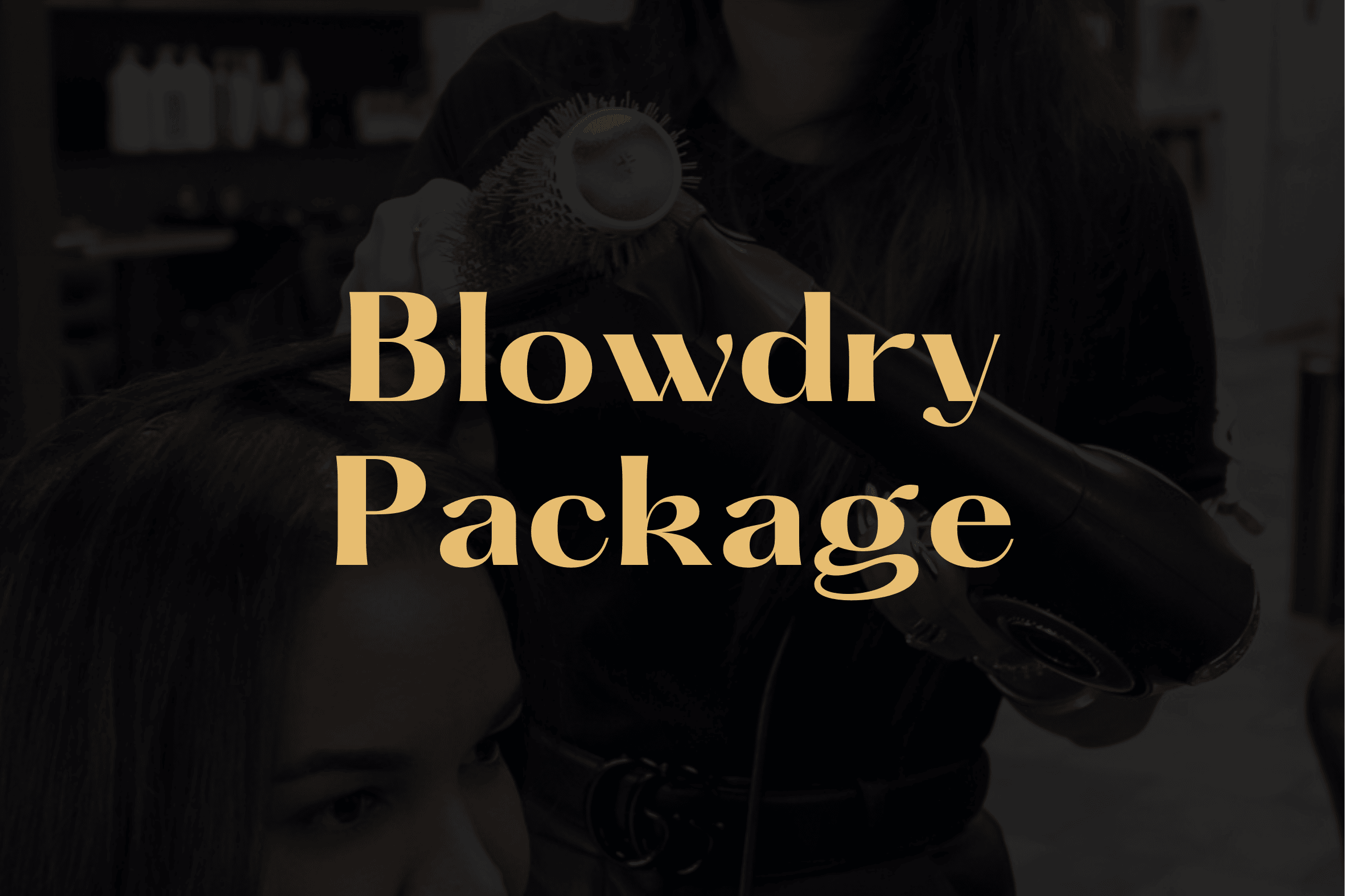 Blowdry Package membership at Willow's Cove Salon in Mineola NY — stylist blow drying a client's hair with a round brush
