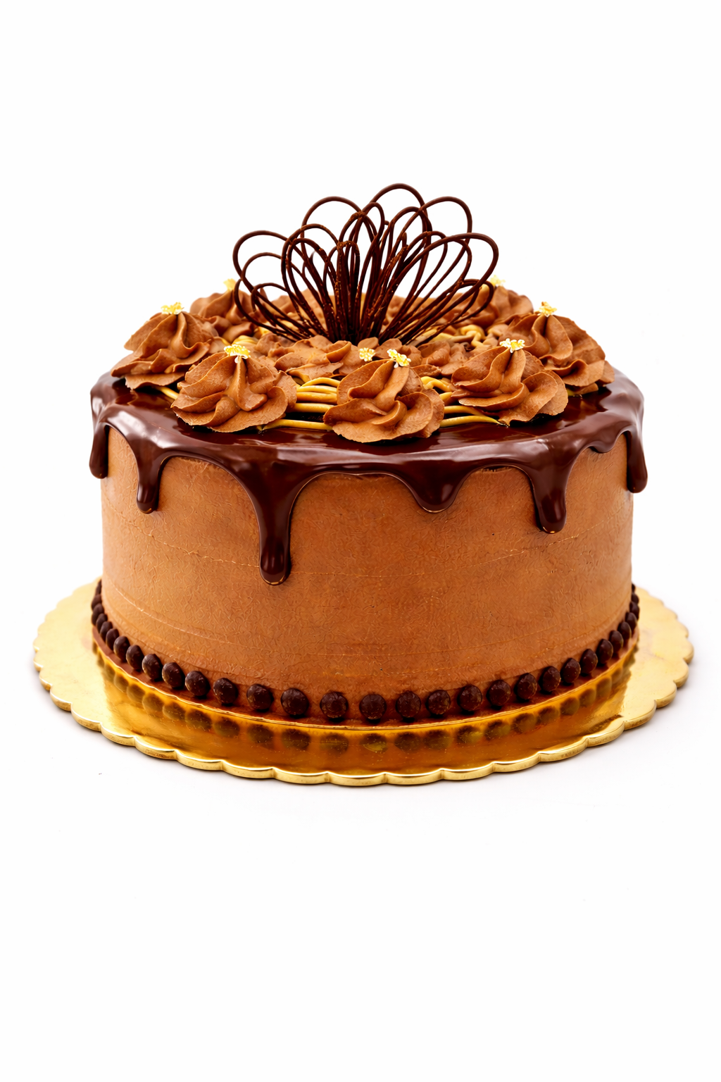 ChatGPT Image Jan 15, 2026, 03_09_22 PM.png