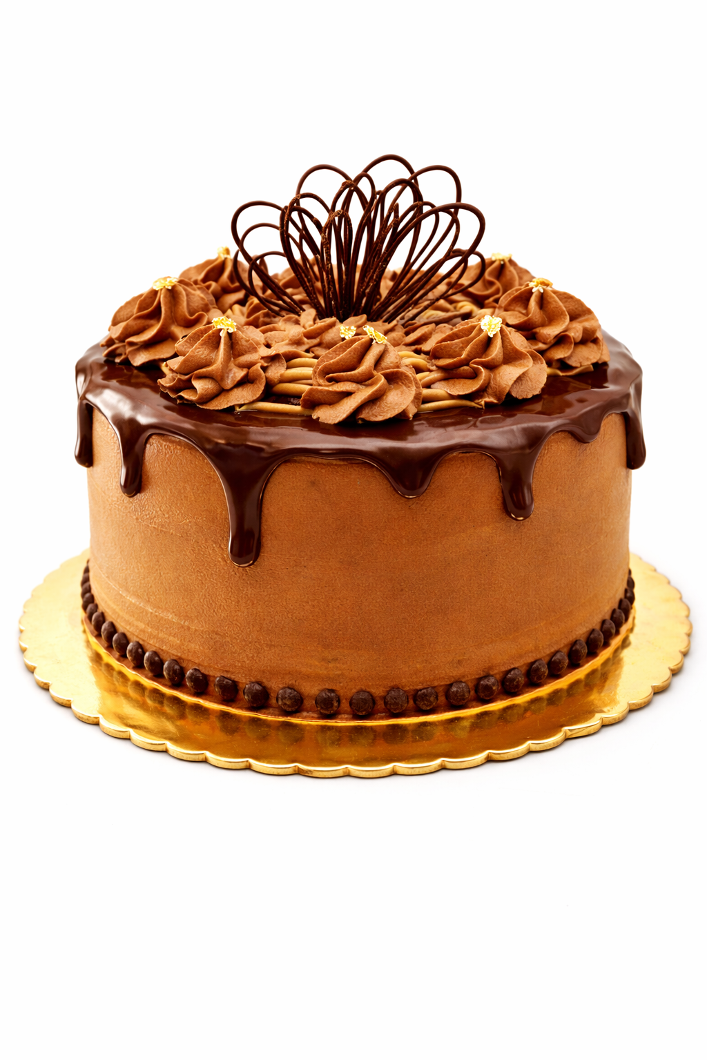 ChatGPT Image Jan 15, 2026, 03_07_59 PM.png