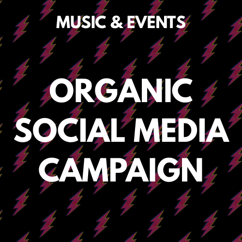 CASE STUDY: Sam Holt Band