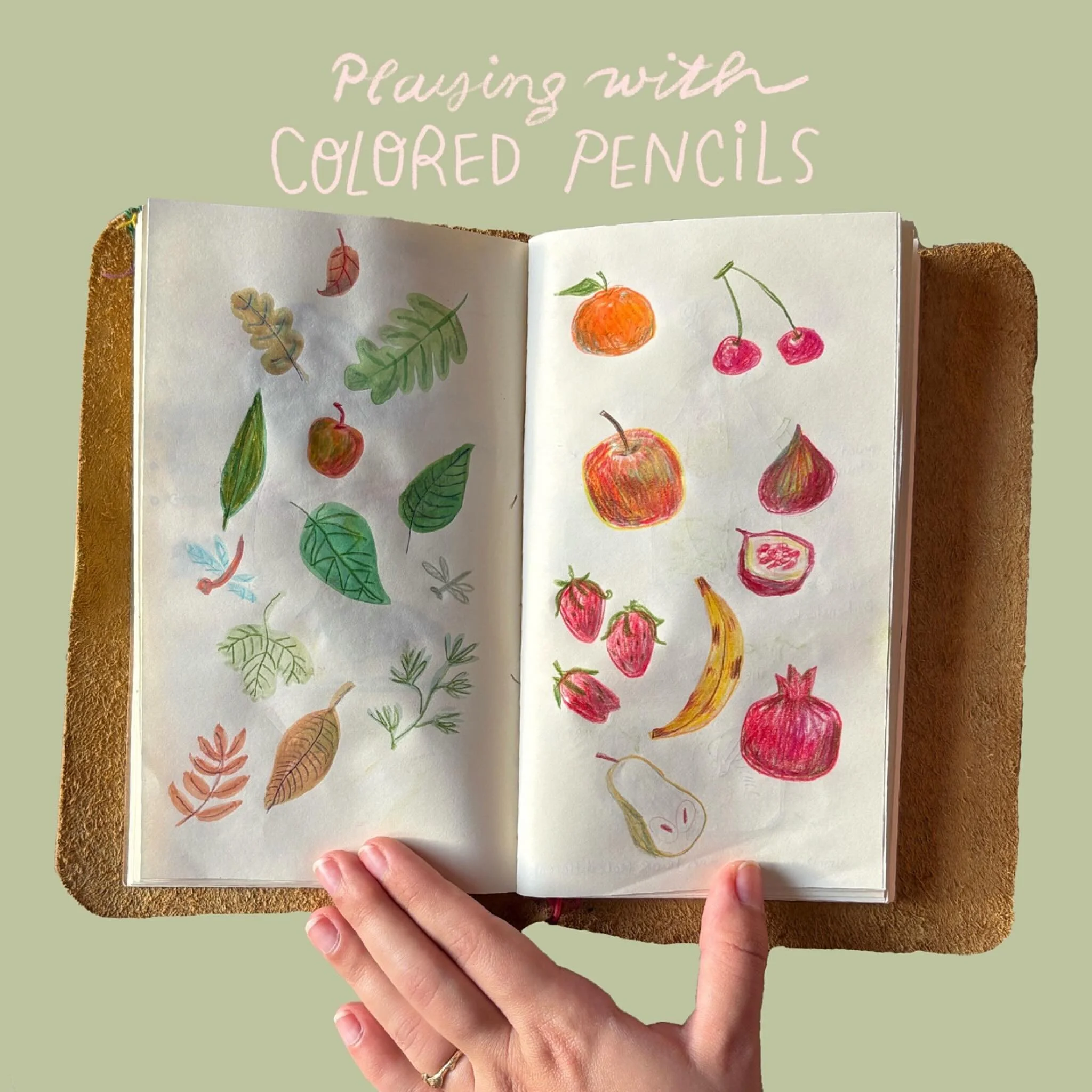 I&rsquo;ve recently been loving playing round with colored pencils , alone and mixed with watercolors. Experimenting different color combinations and using color theory for shading.🍓🍒🍌🍏🍂🌱🍃 🌿 Excited for what this season will bring