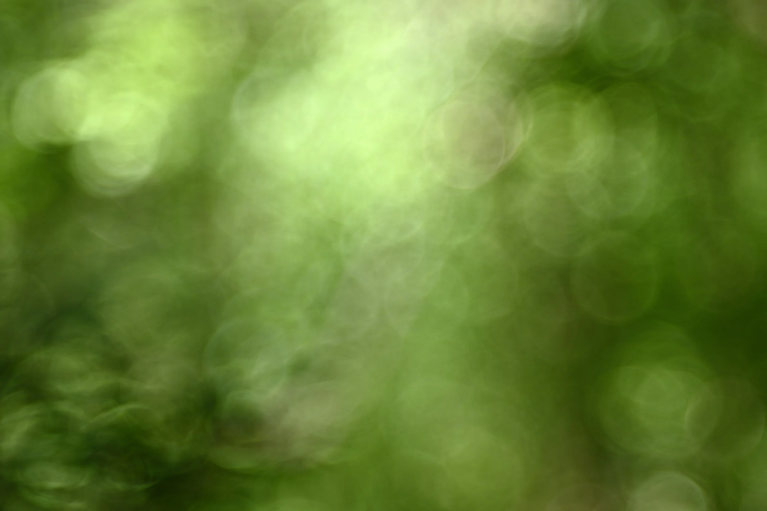 Blurred green background with circular bokeh effects.