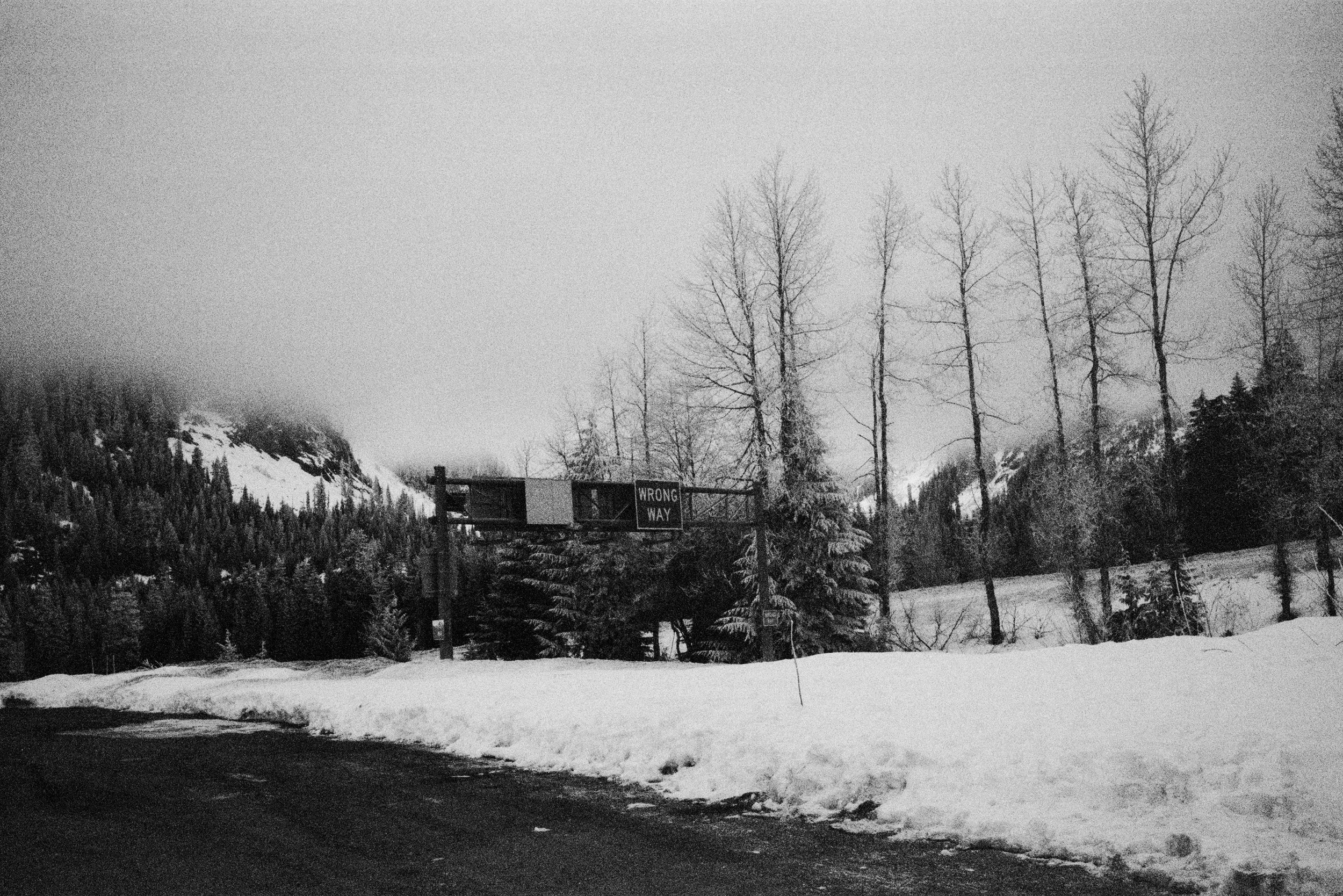 Black and white photo of a snow-covered landscape with tall bare trees, mountains in the background, and a sign that says 'Wrong Way' near a road.
