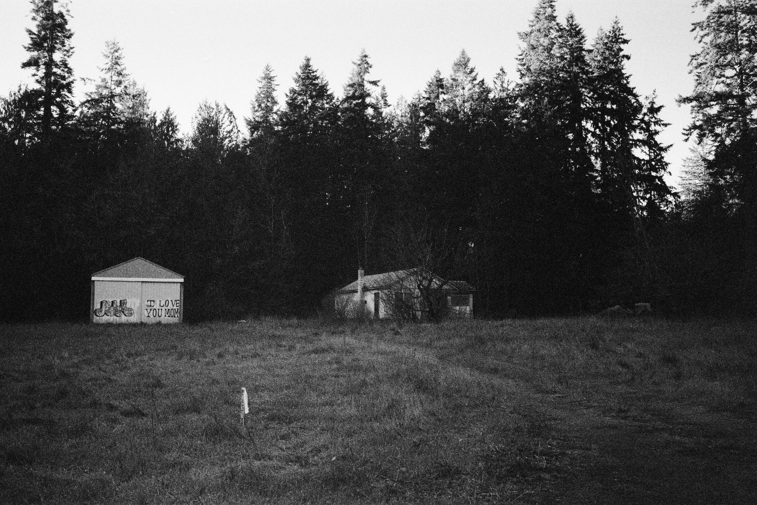 A black-and-white photo of two small houses at the edge of a forest, surrounded by a grassy field, with one house having graffiti that says 'I love you mom', and a path or driveway leading up to the houses.