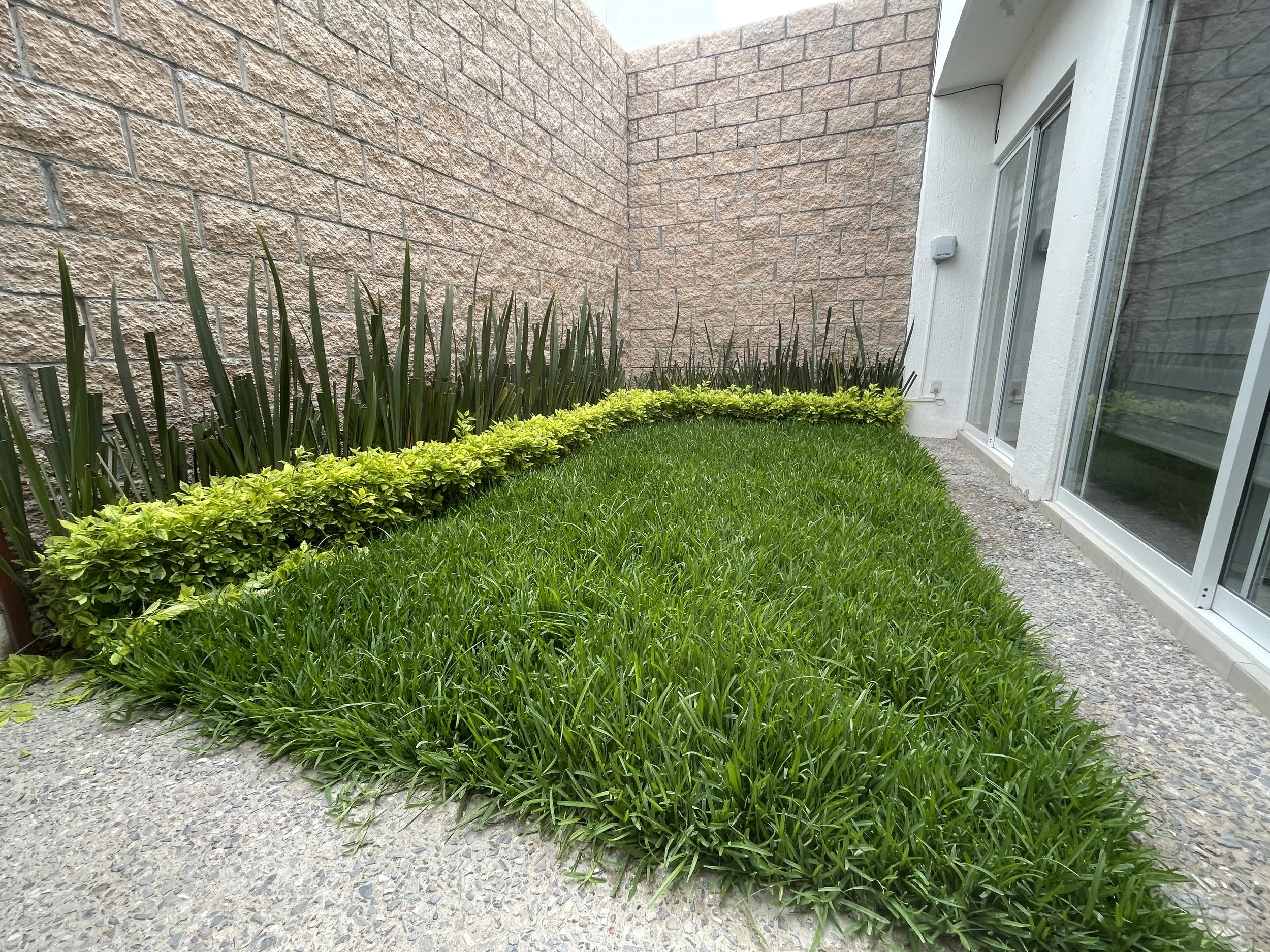 Jardín con césped, plantas de borde y muro de ladrillo.