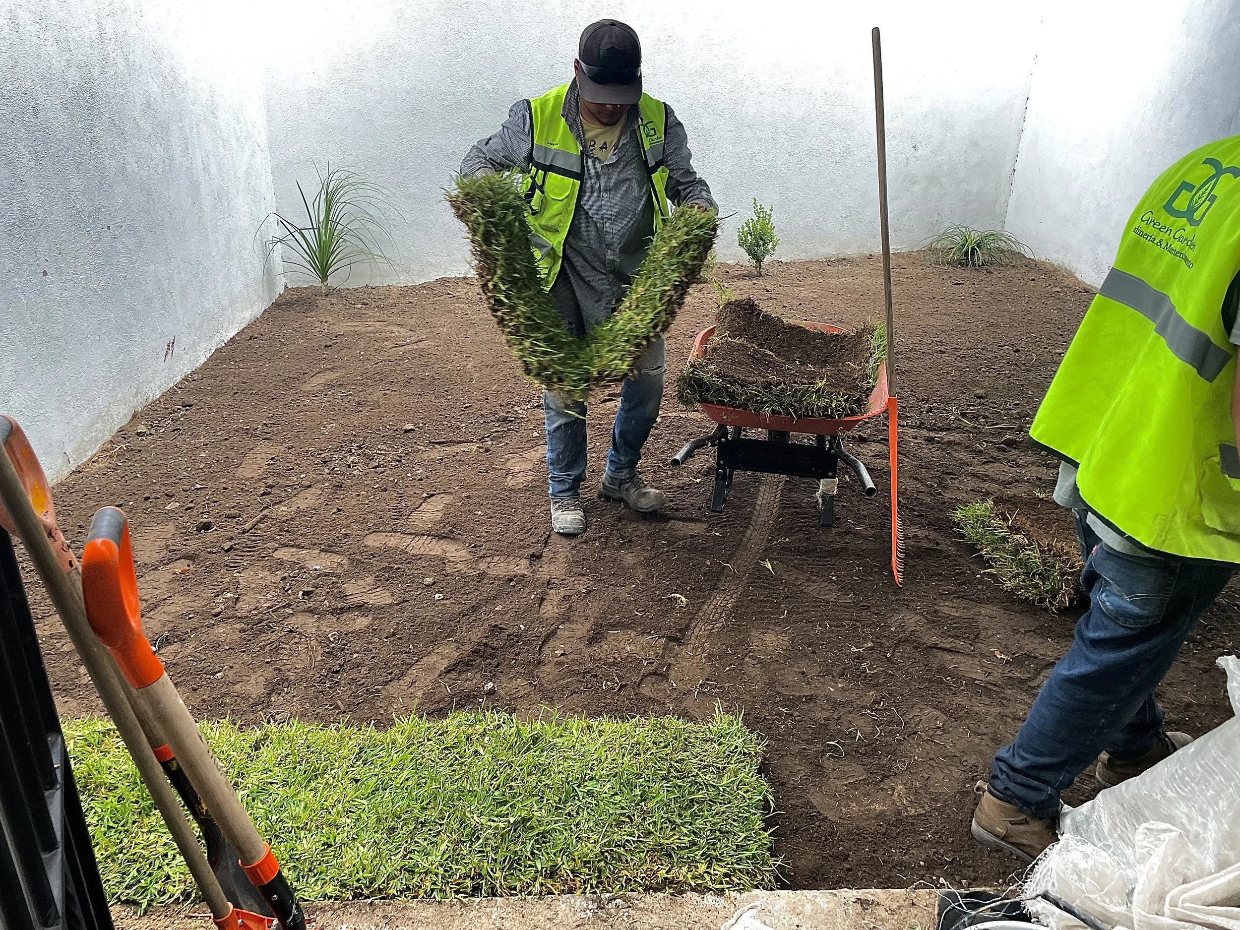 Dos personas plantando arbustos en un área de tierra, con una carretilla, una pala y un rastrillo.