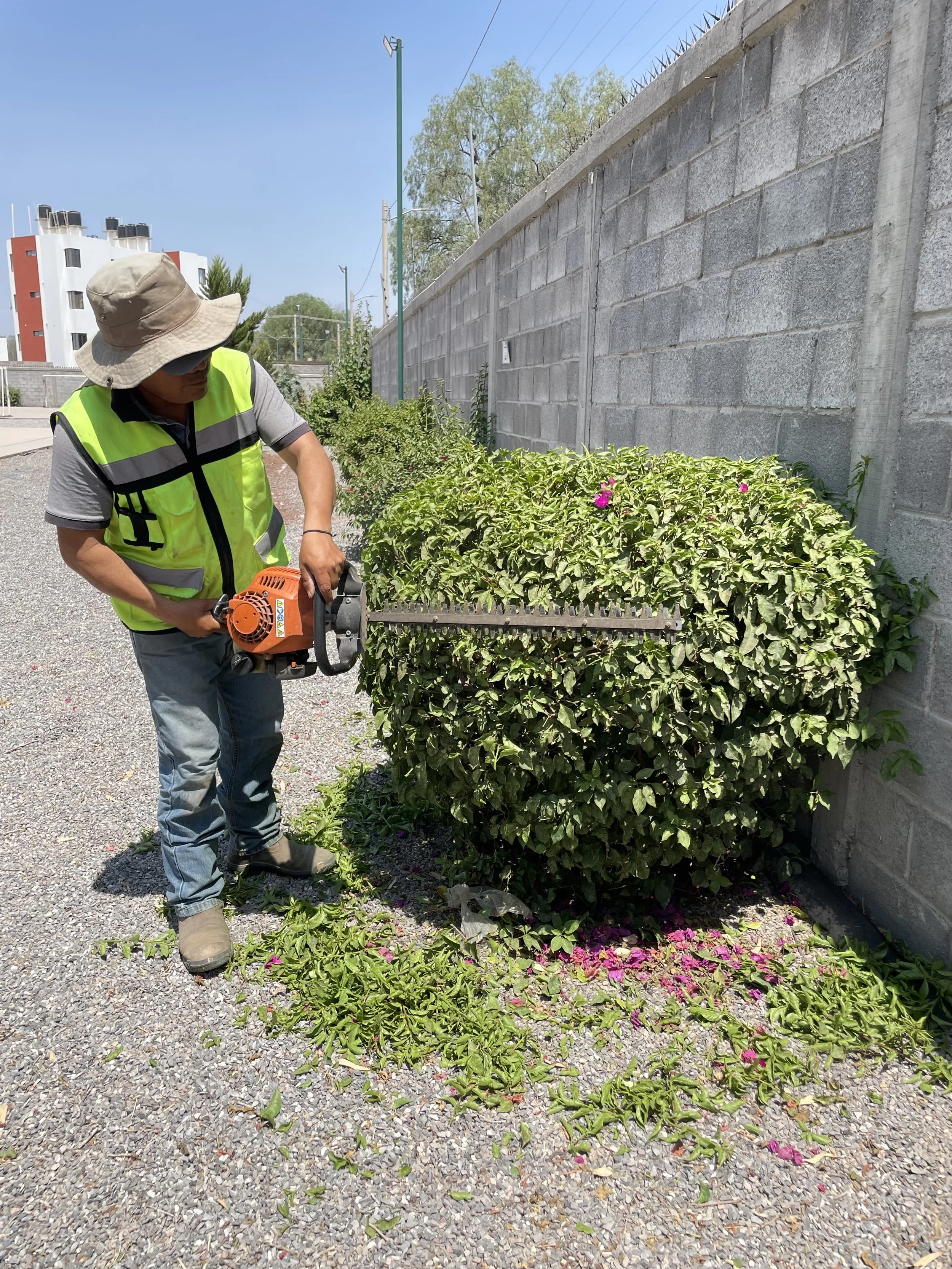 Persona usando equipo de protección cortando arbusto con herramienta eléctrica junto a muro.