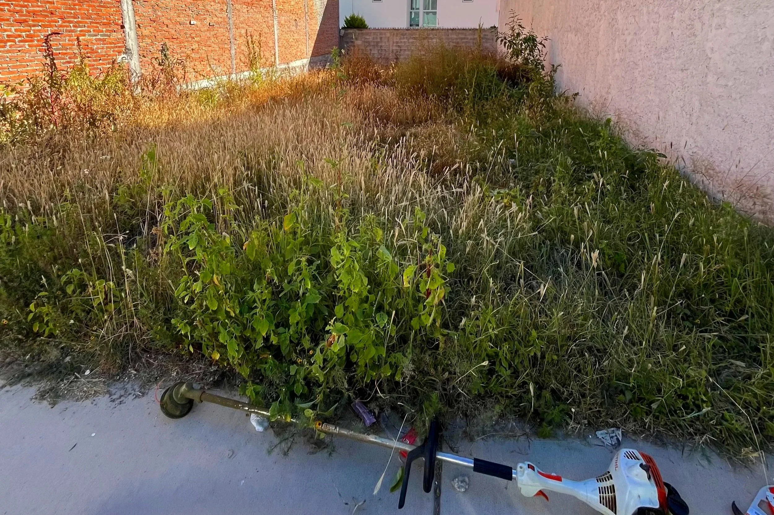 Área residencial con césped alto y maleza junto a una acera, y en primer plano, una herramienta eléctrica de jardín abandonada