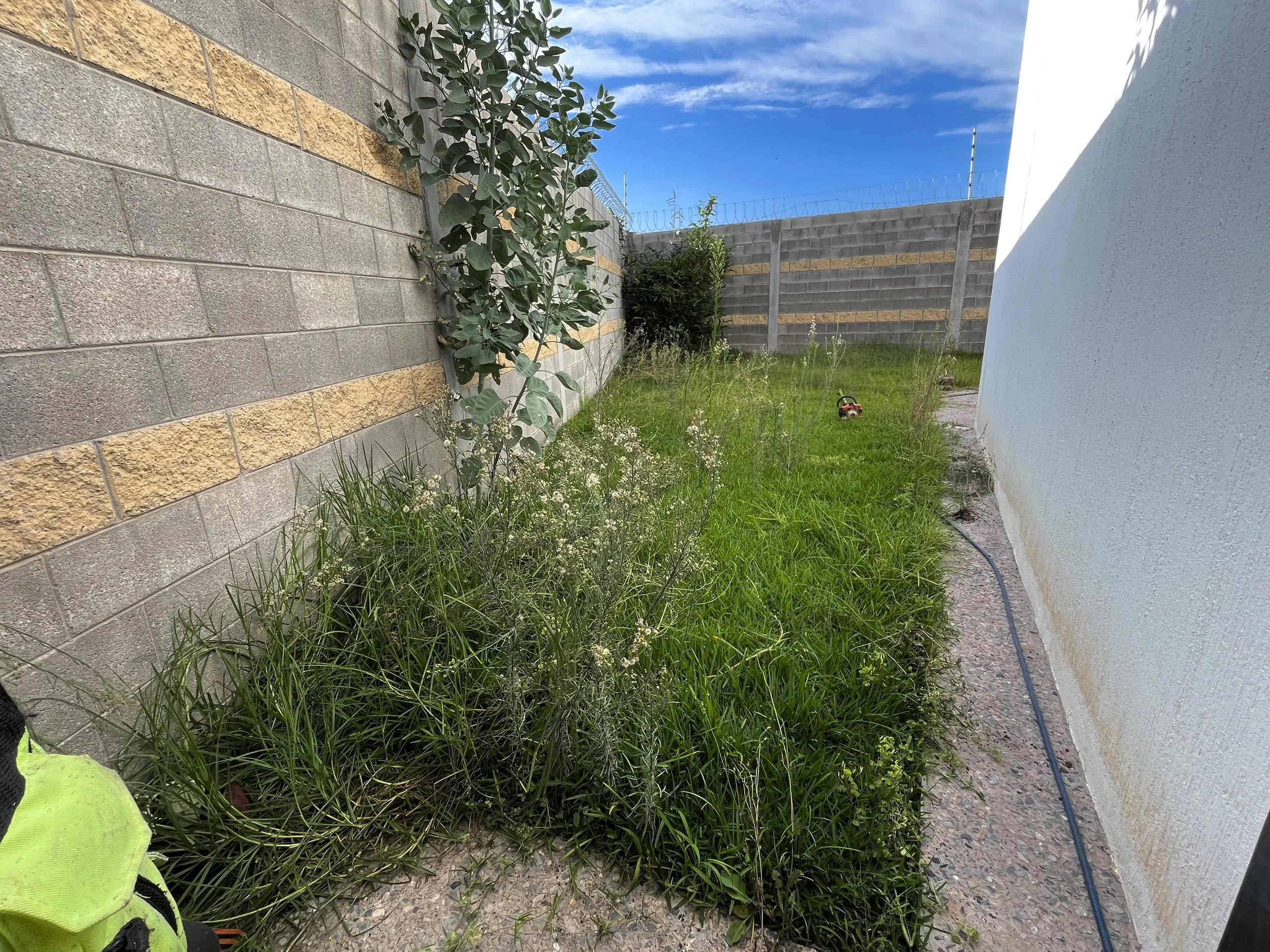 Jardín pequeño con césped y plantas, rodeado por muros de block y una pared blanca. Se observa una manguera en el suelo y un casco amarillo en la esquina inferior izquierda.