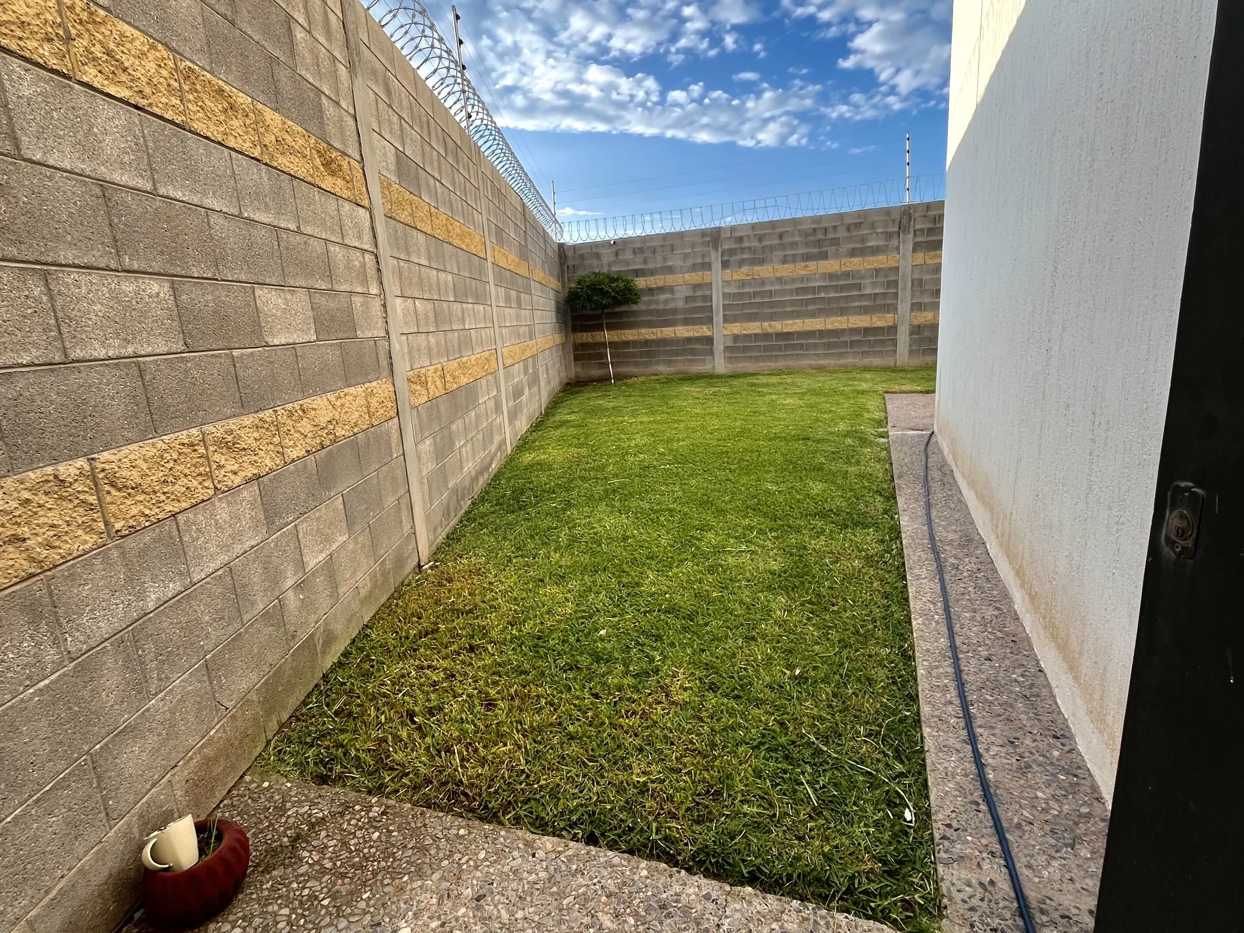 Jardín pequeño con césped verde, una cerca de bloques de cemento y alambre de púas en la parte superior. Un árbol pequeño en la esquina y un camino de piedra.